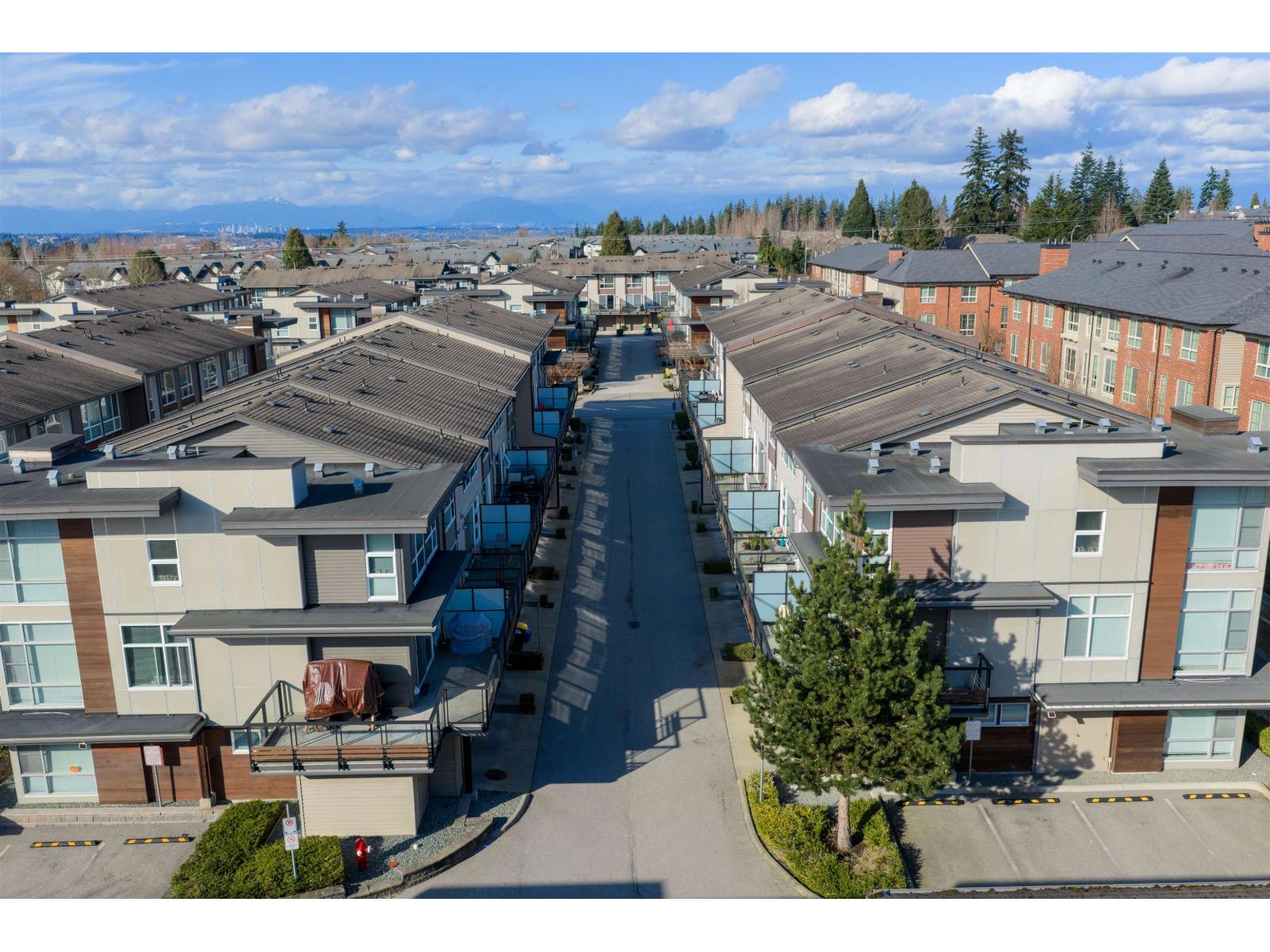 96 16222 23a Avenue, Surrey, British Columbia  V3S 6P4 - Photo 29 - R3098636