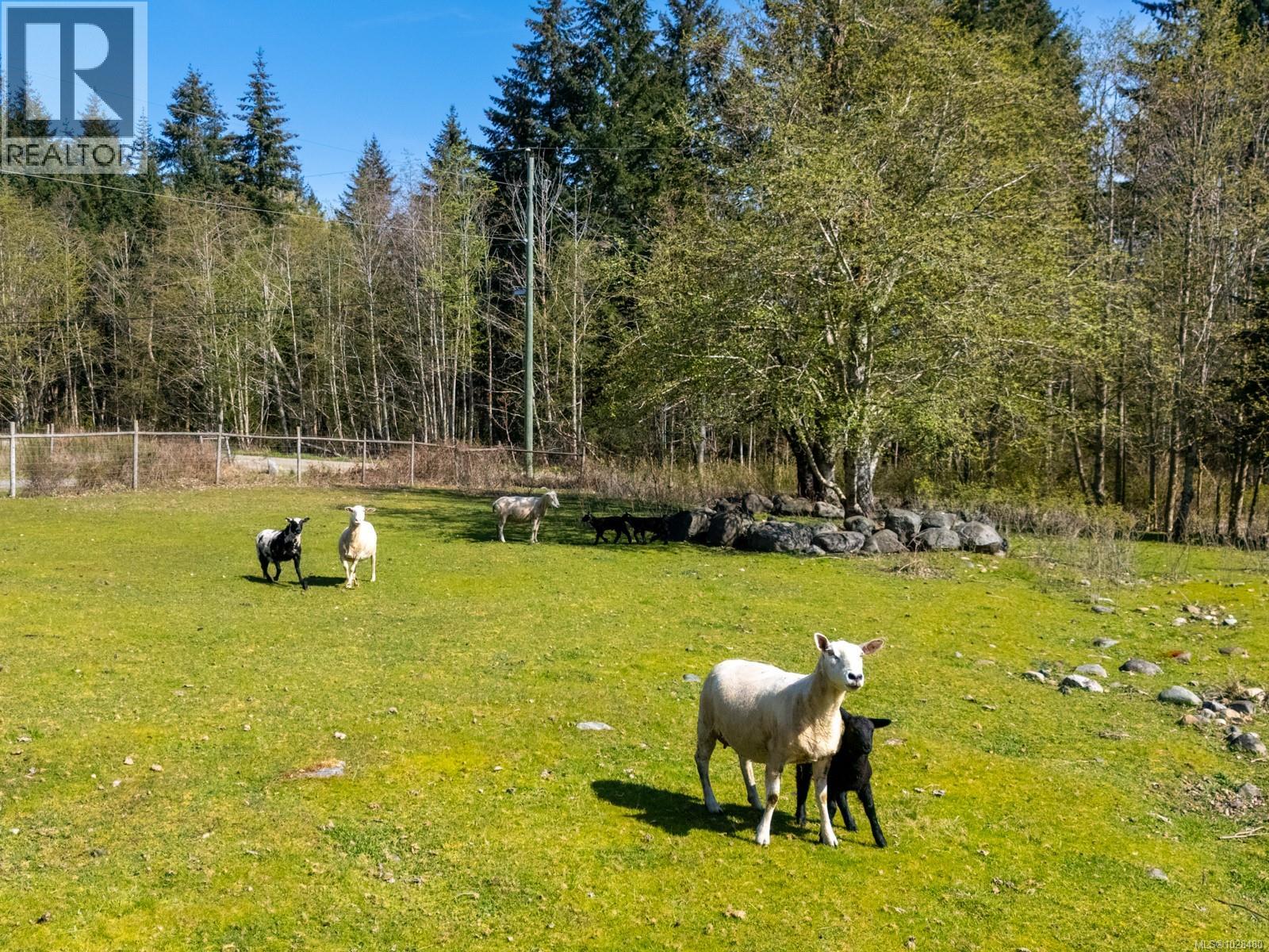 2892 Maridge Rd, Courtenay, British Columbia  V9J 1M9 - Photo 29 - 1028480