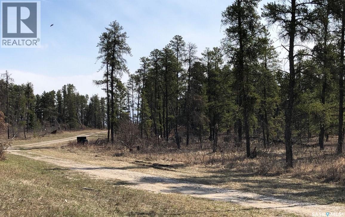 Rec Lot 12/2, Hudson Bay Rm No. 394, Saskatchewan  S0E 0Y0 - Photo 3 - SK029914