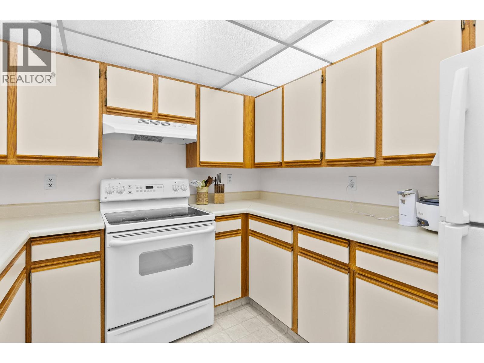 1045 Sutherland Avenue Unit# 214, Kelowna, British Columbia  V1Y 5Y1 - Photo 9 - 10378642