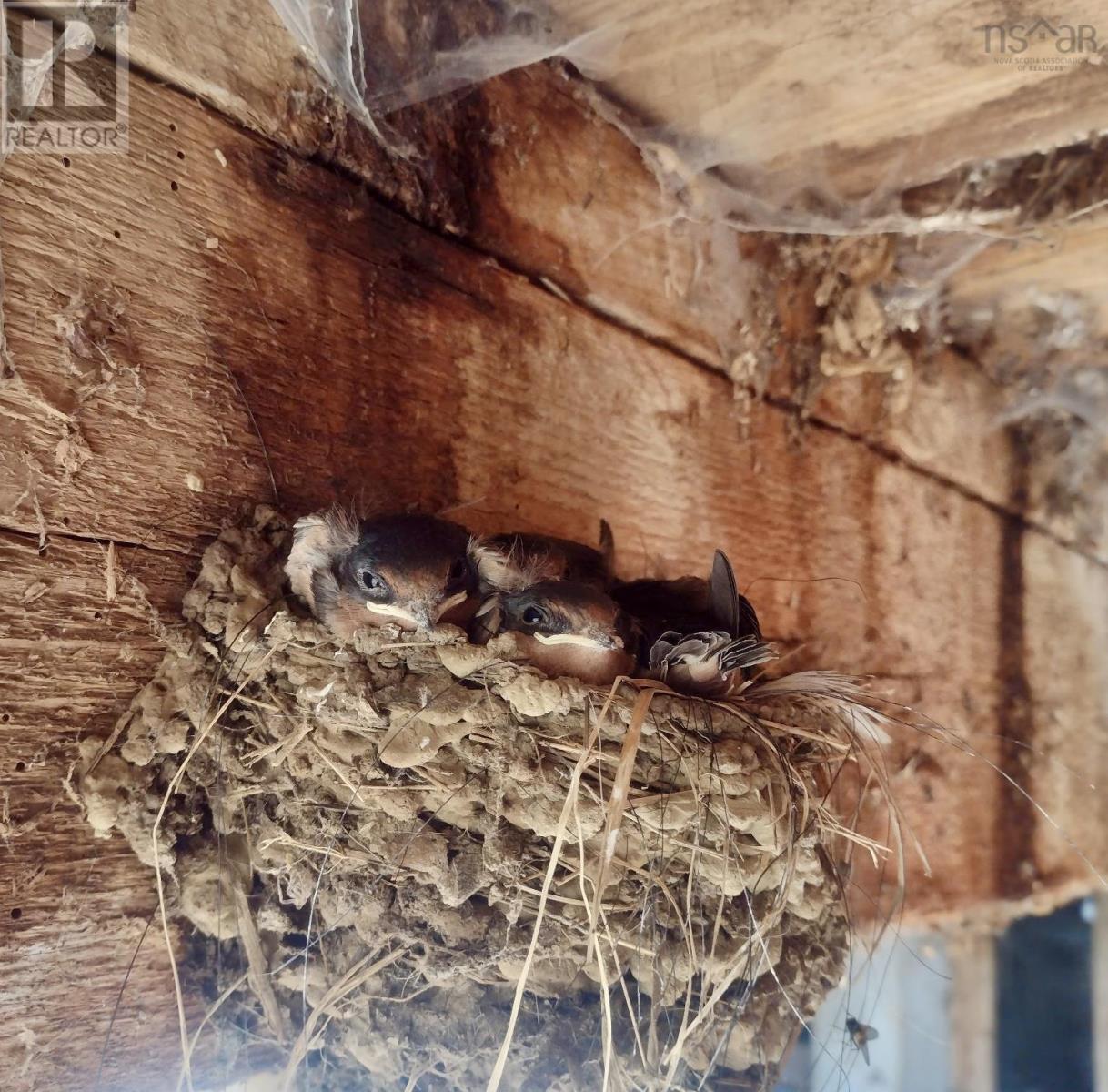 218 Garber Road, Newcombville, Nova Scotia  B4V 7Y4 - Photo 45 - 202604337