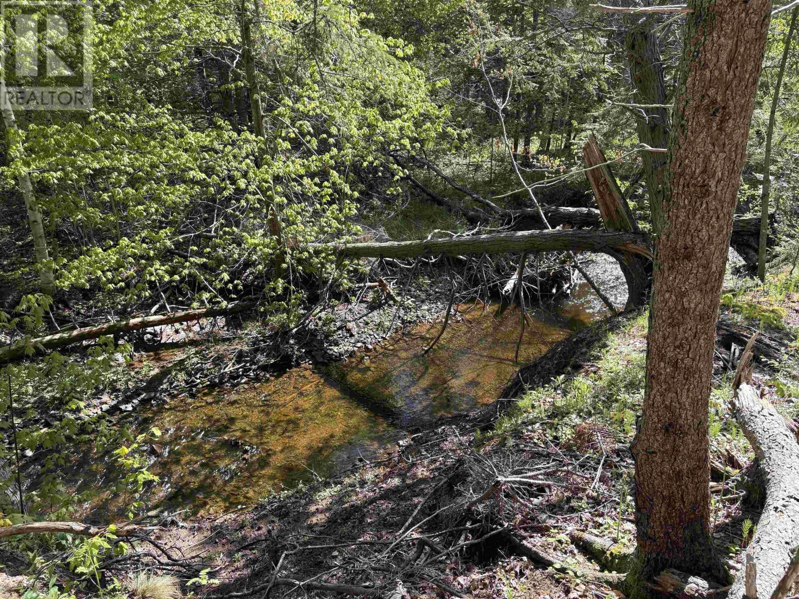 Lot Oliver Road, Hazel Glen, Nova Scotia  B0K 2A0 - Photo 6 - 202604340