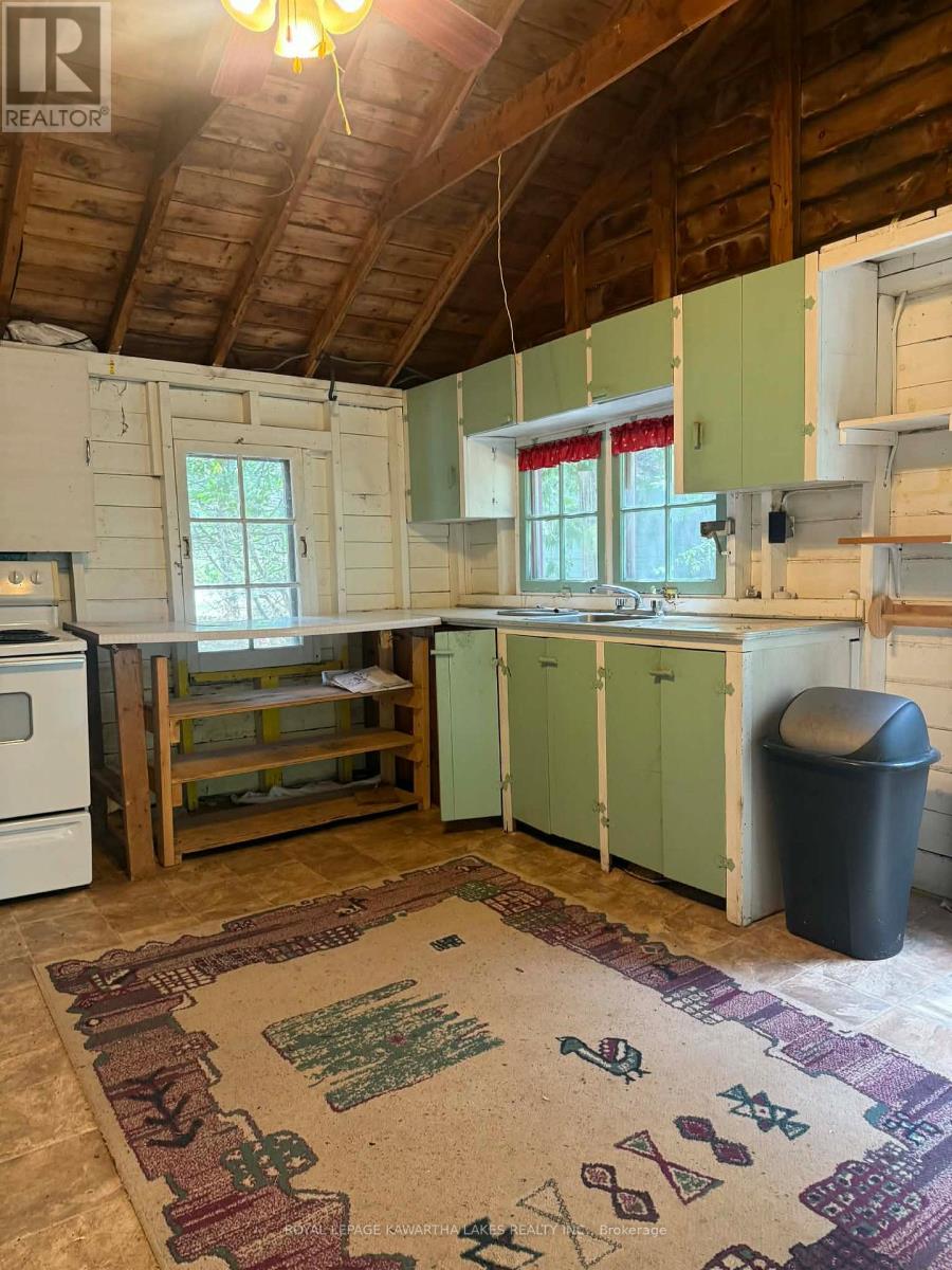 8 Sturgeon Glen Road, Kawartha Lakes (Fenelon), Ontario  K0M 1N0 - Photo 4 - X12870970