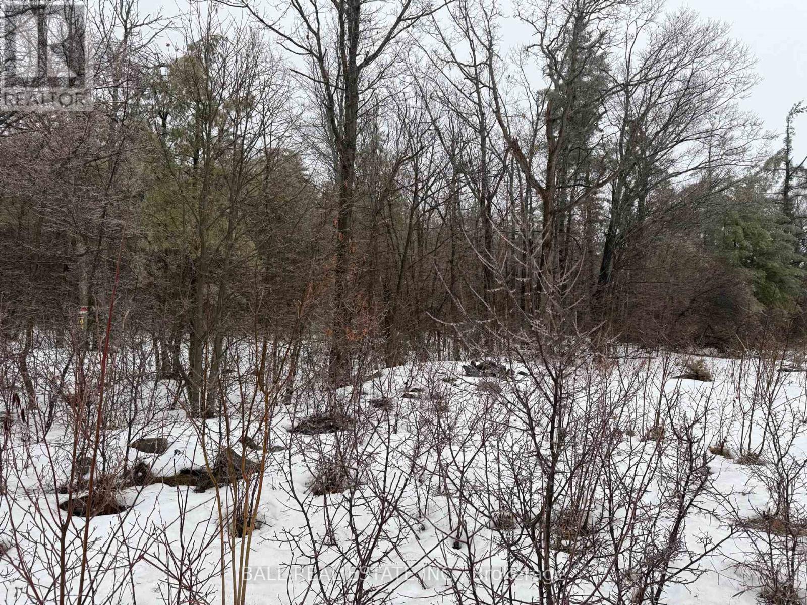 Lot 1 County Road 6, Douro-Dummer, Ontario  K0L 2H0 - Photo 3 - X12871216