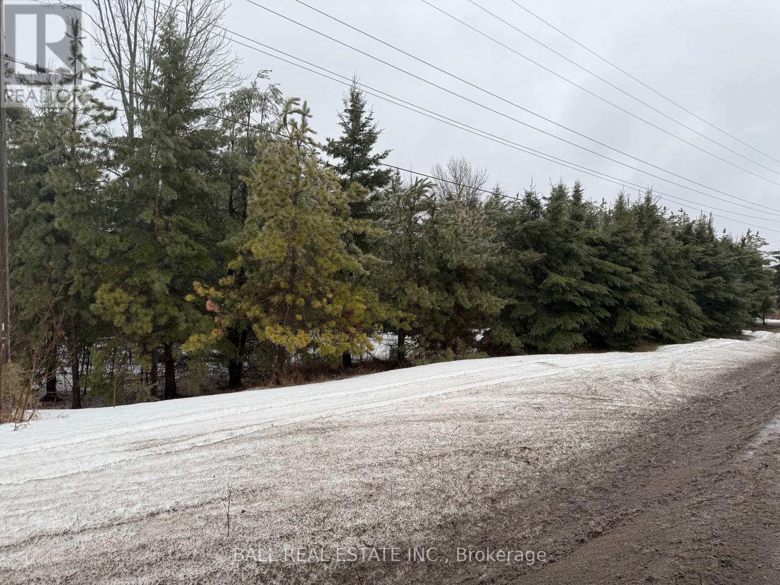 Lot 1 County Road 6, Douro-Dummer, Ontario  K0L 2H0 - Photo 4 - X12871216