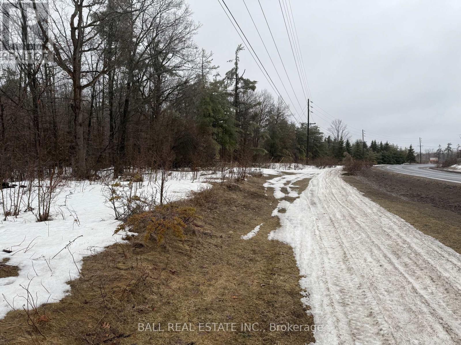 Lot 1 County Road 6, Douro-Dummer, Ontario  K0L 2H0 - Photo 5 - X12871216