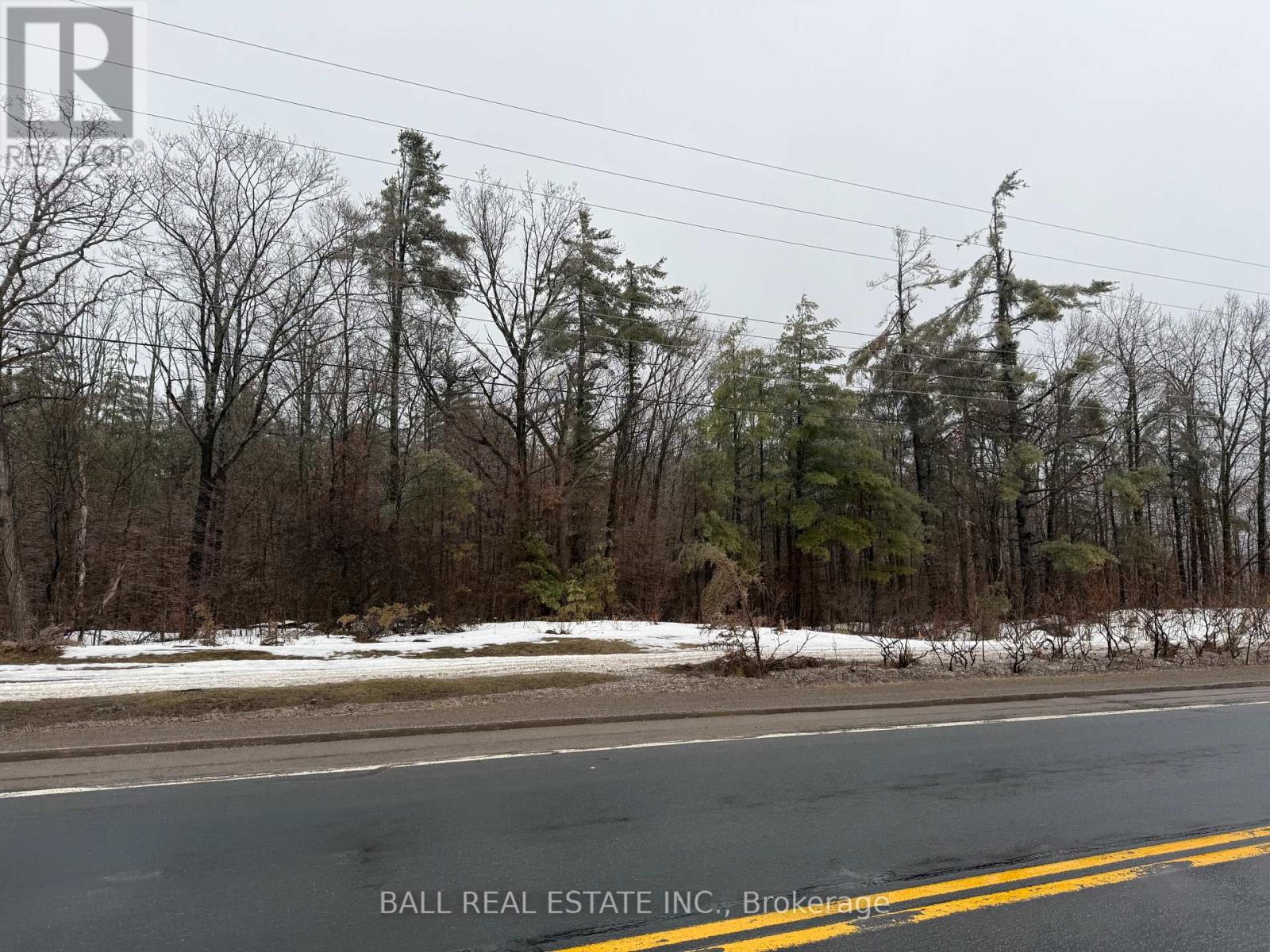 Lot 2 County Road 6, Douro-Dummer, Ontario  K0L 2H0 - Photo 3 - X12871220