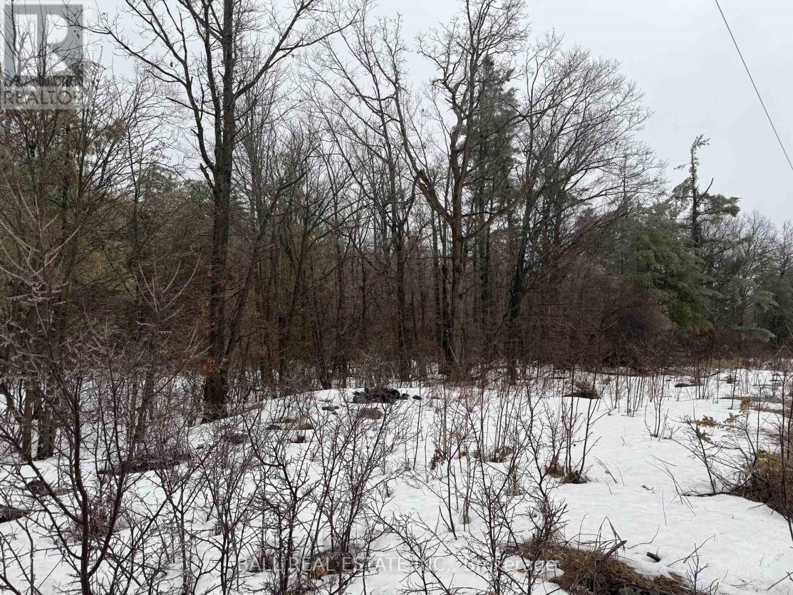 Lot 2 County Road 6, Douro-Dummer, Ontario  K0L 2H0 - Photo 4 - X12871220