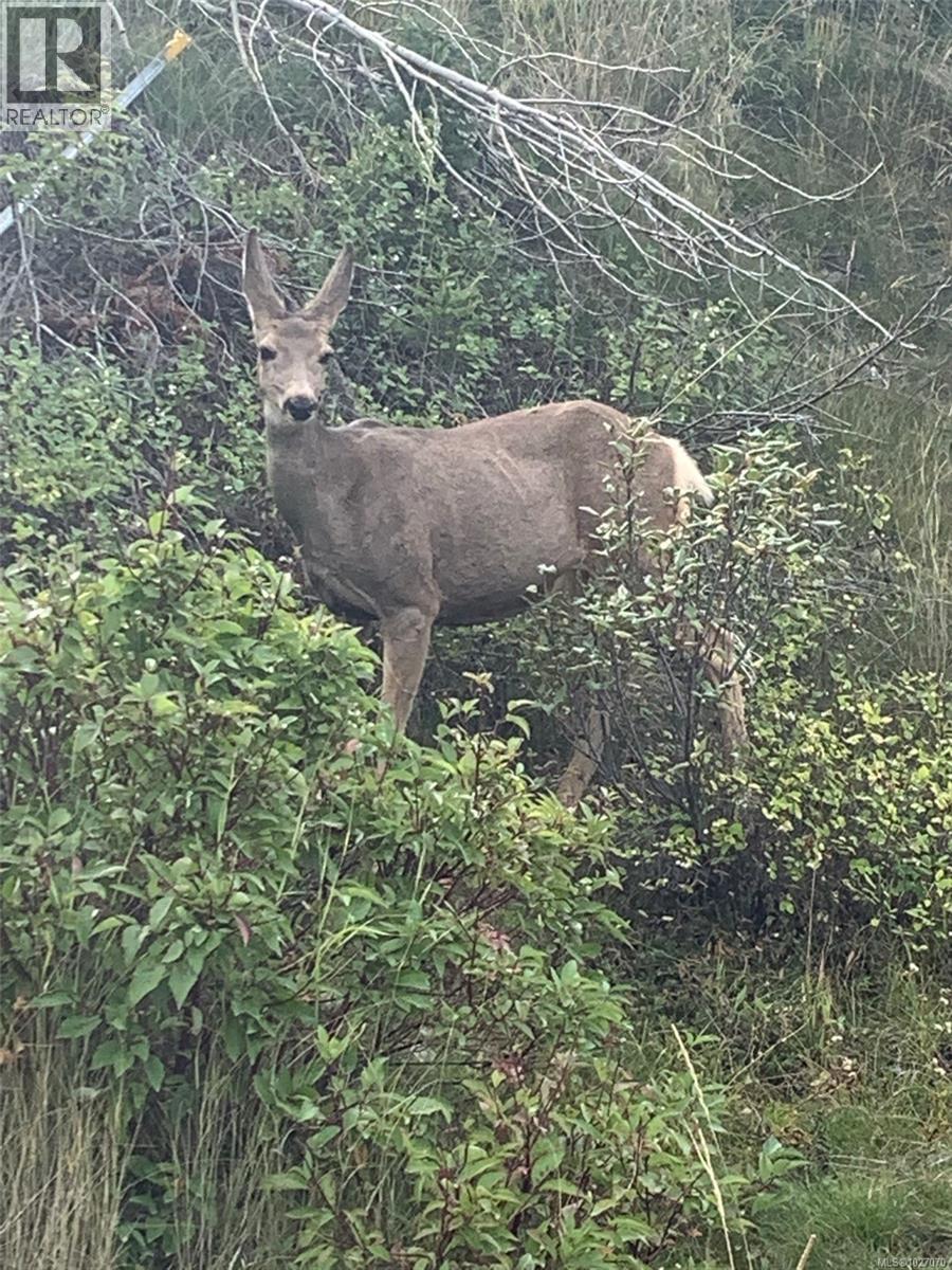 10912 Boas Rd, North Saanich, British Columbia  V8L 5J1 - Photo 35 - 1027070