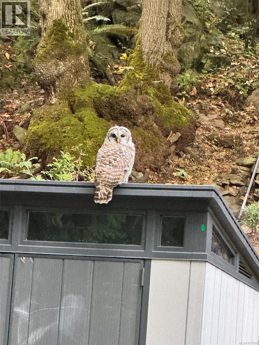 10912 Boas Rd, North Saanich, British Columbia  V8L 5J1 - Photo 41 - 1027070