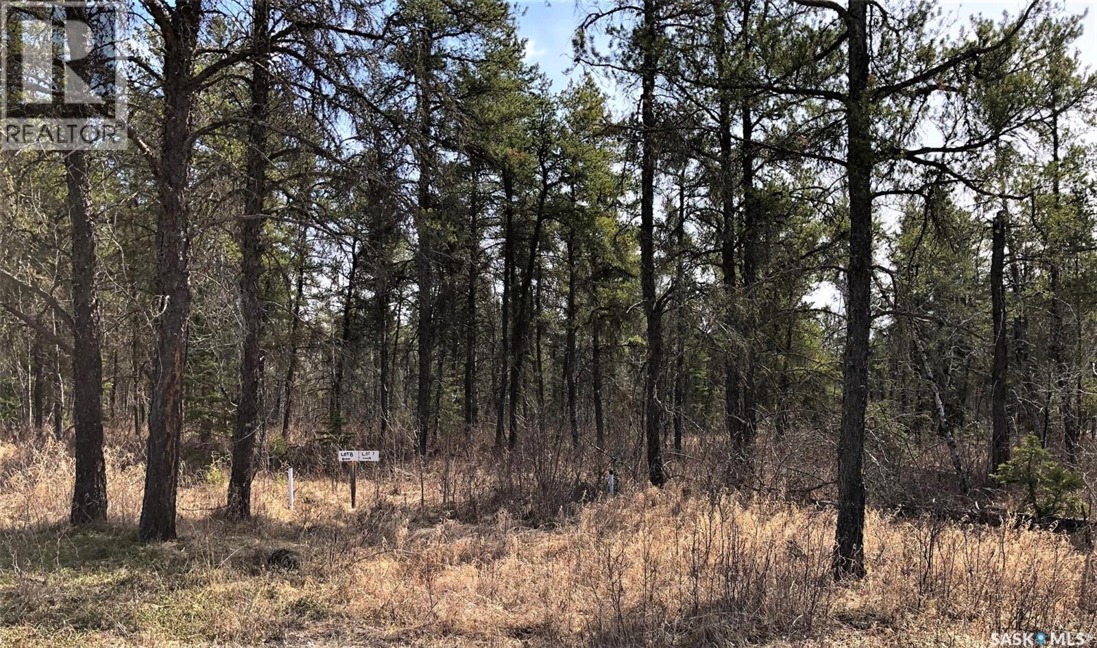 Rec Lot 3/2, Hudson Bay Rm No. 394, Saskatchewan  S0E 0Y0 - Photo 3 - SK030178