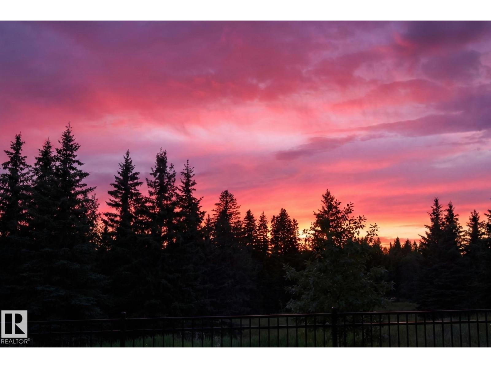 #23 1030 Connelly Wy Sw, Edmonton, Alberta  T6W 2G2 - Photo 47 - E4476095