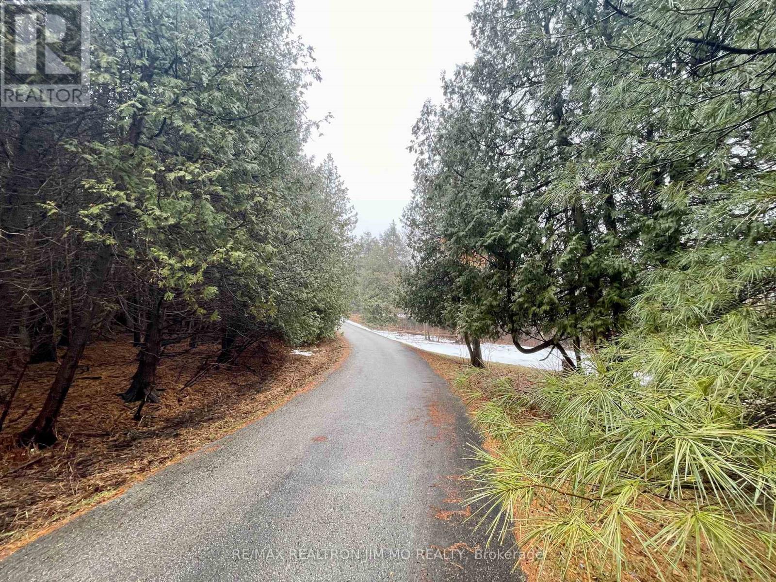 1785 Davis Drive W, King, Ontario  L3Y 4V9 - Photo 5 - N12869374