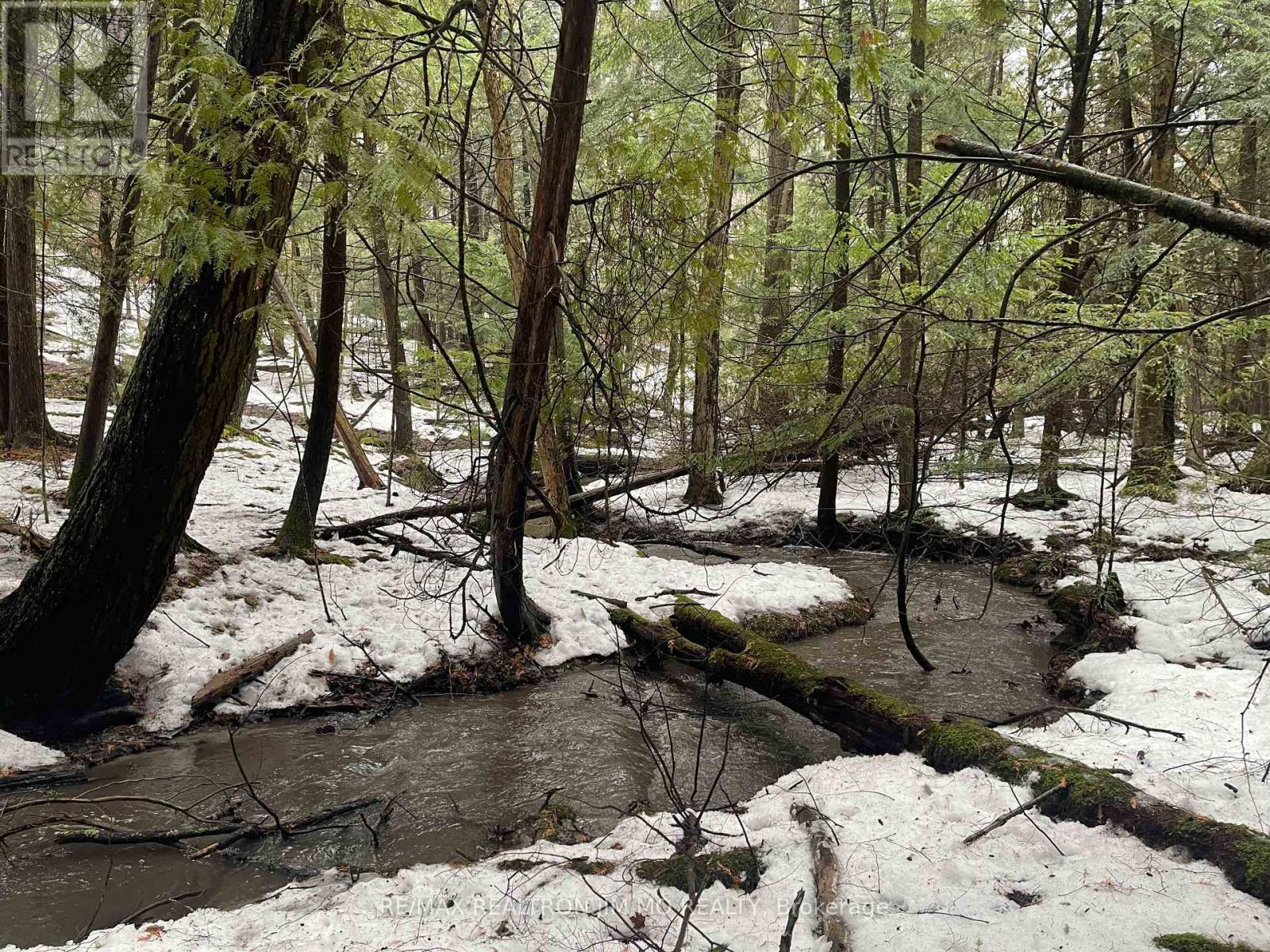 1785 Davis Drive W, King, Ontario  L3Y 4V9 - Photo 9 - N12869374