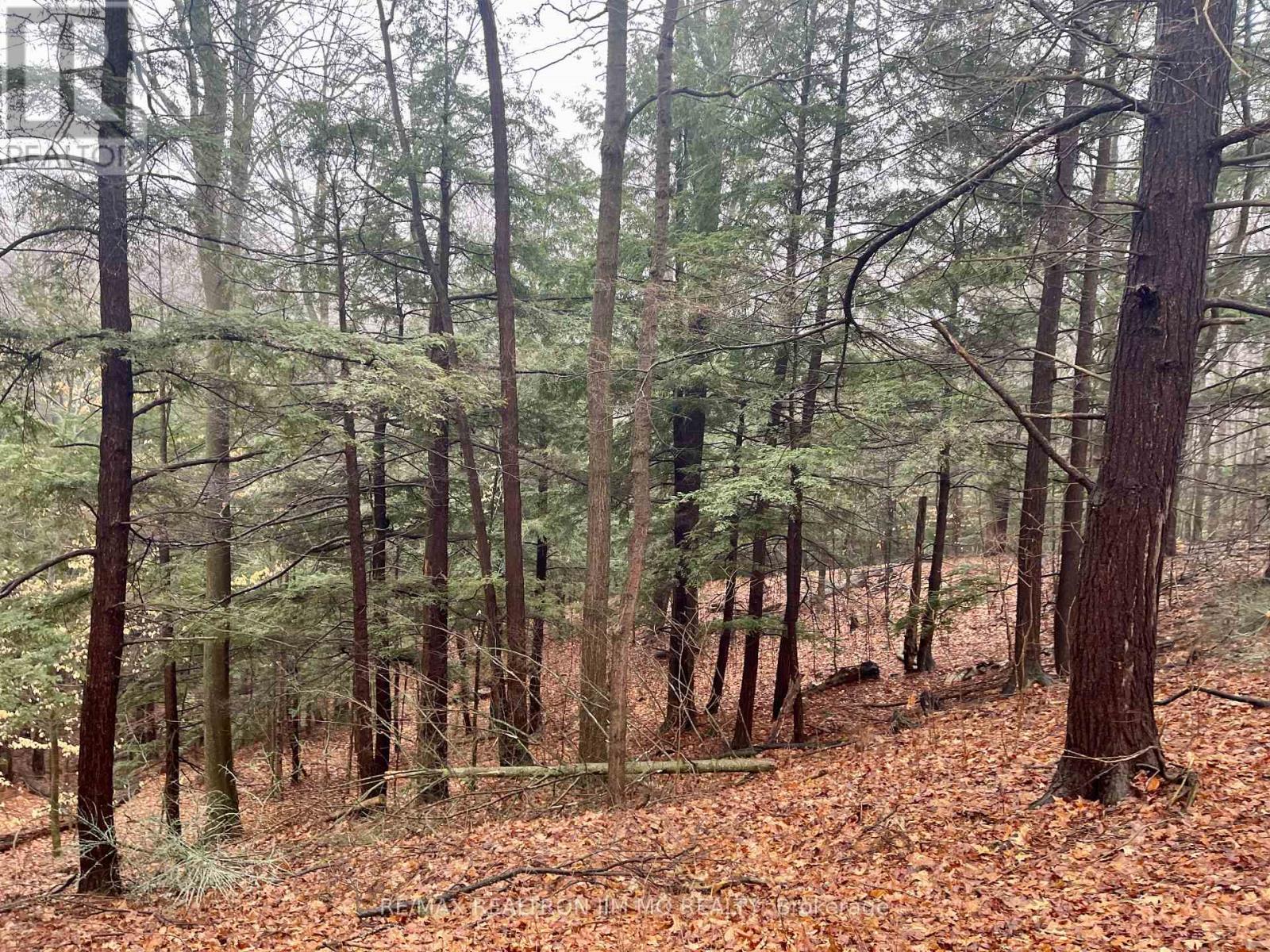 1785 Davis Drive W, King, Ontario  L3Y 4V9 - Photo 8 - N12869374