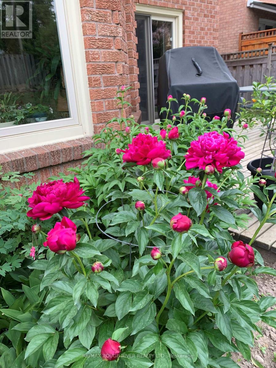 79 Stargell Drive, Whitby, Ontario  L1N 7X9 - Photo 45 - E12866476