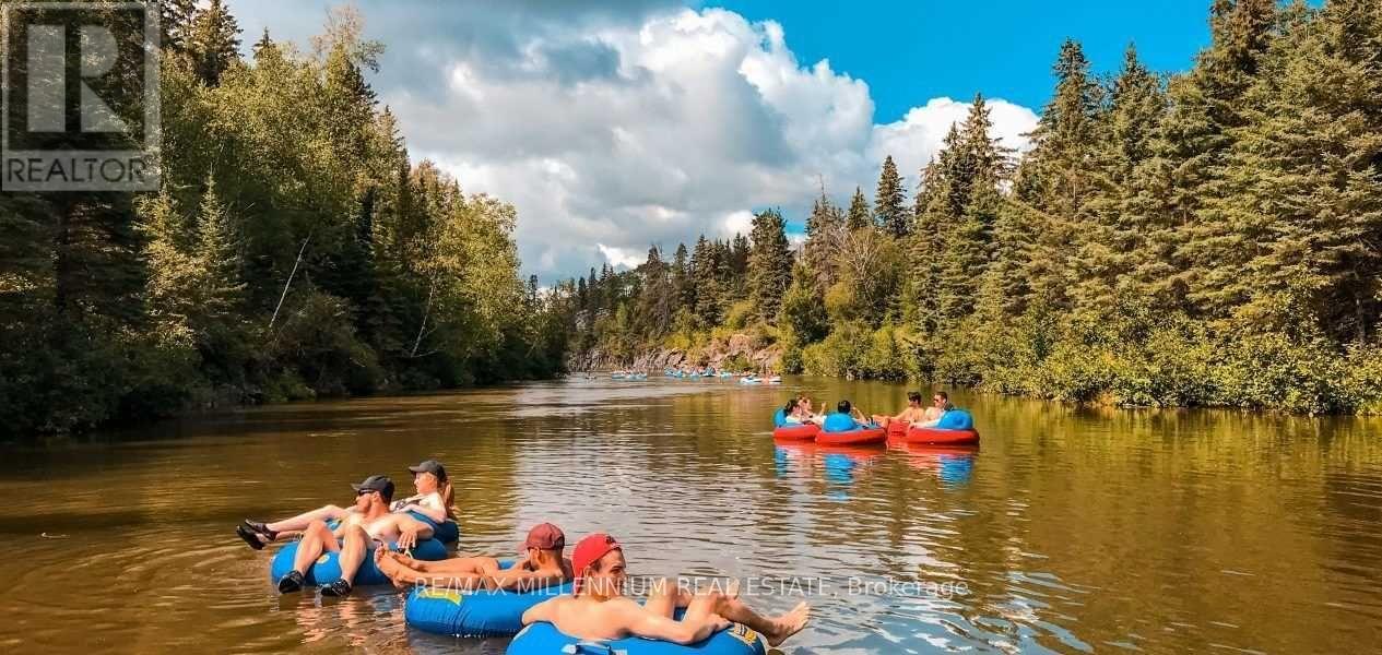 225 Grand River Avenue, Brantford, Ontario  N3T 4Y3 - Photo 27 - X12871248