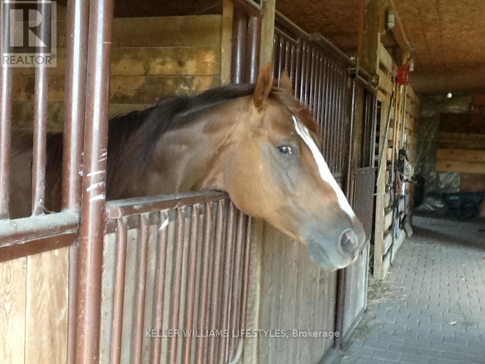 25728 Mcmurchy Line, West Elgin, Ontario  N0L 2P0 - Photo 29 - X12871610