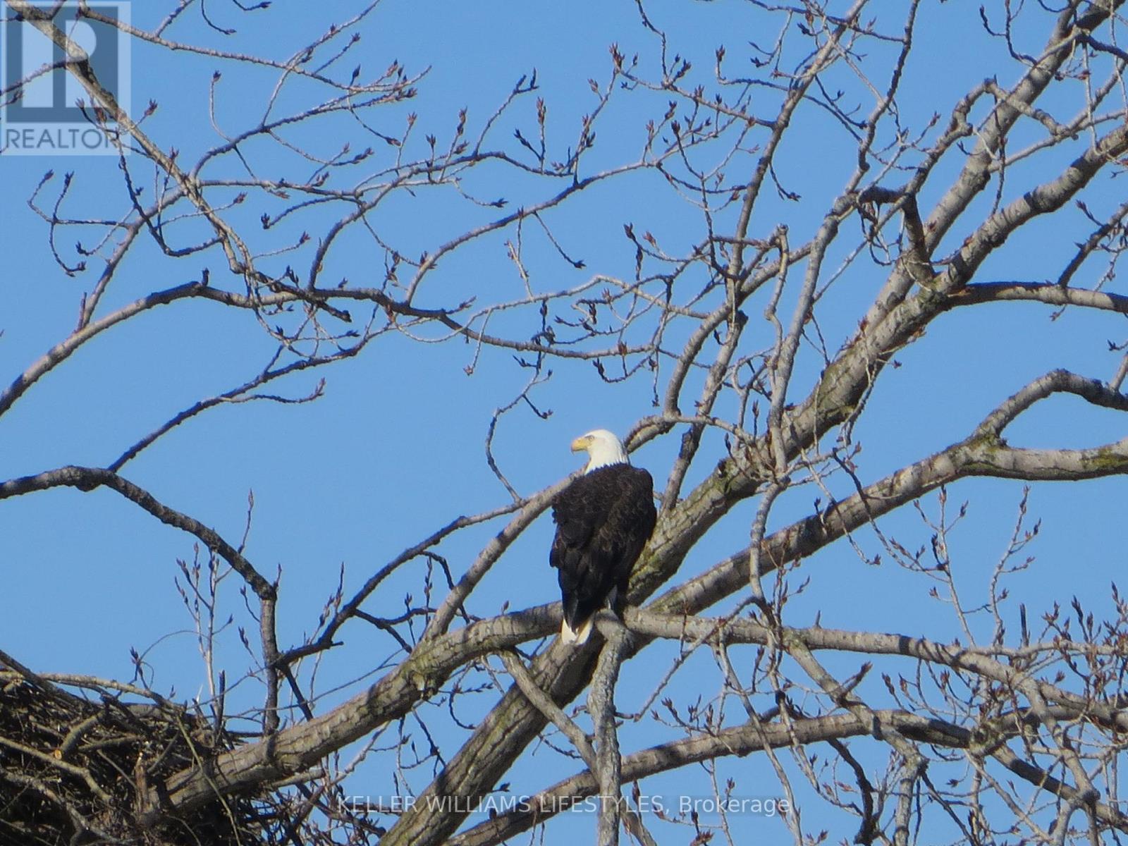 25728 Mcmurchy Line, West Elgin, Ontario  N0L 2P0 - Photo 34 - X12871610