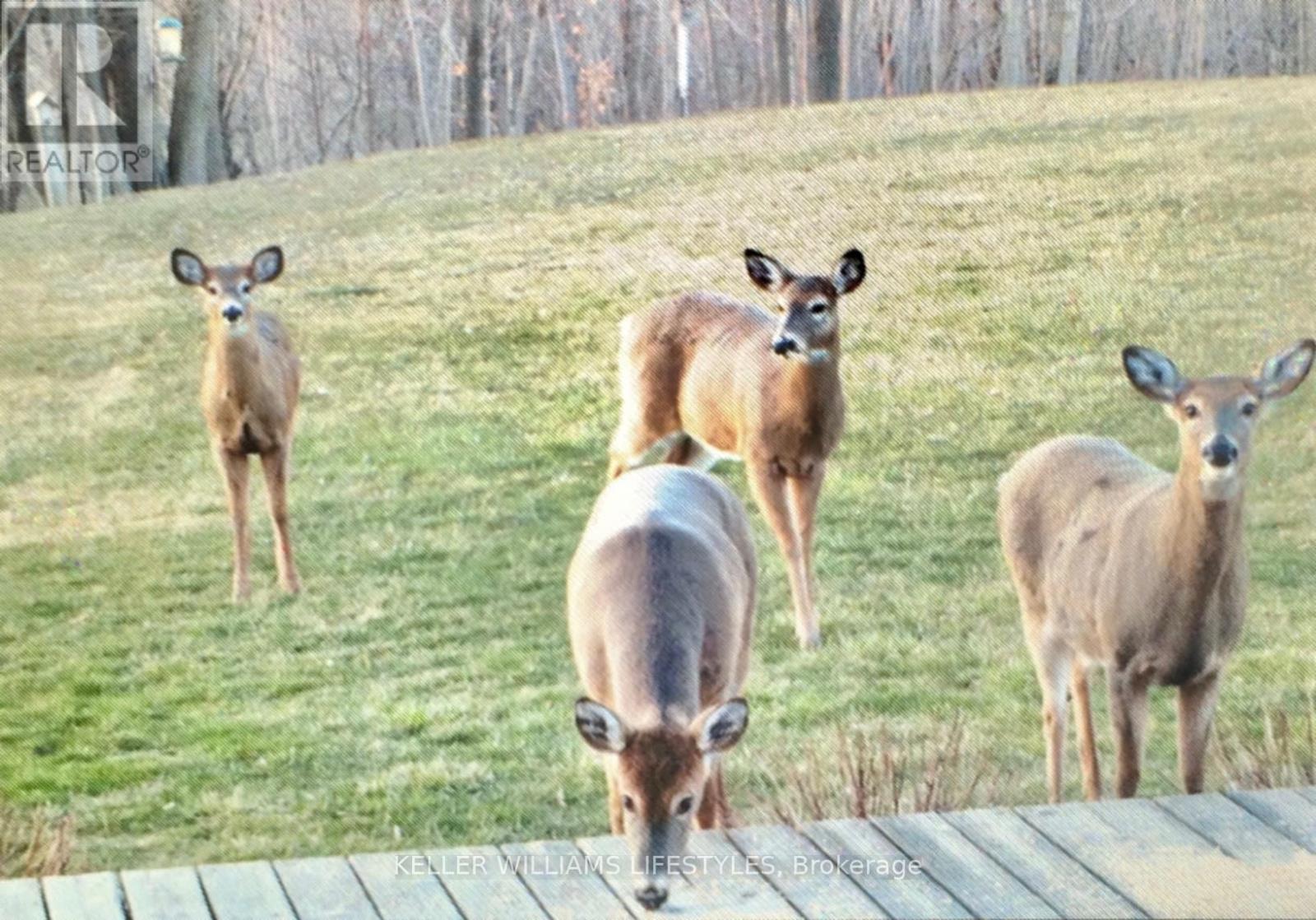 25728 Mcmurchy Line, West Elgin, Ontario  N0L 2P0 - Photo 37 - X12871610