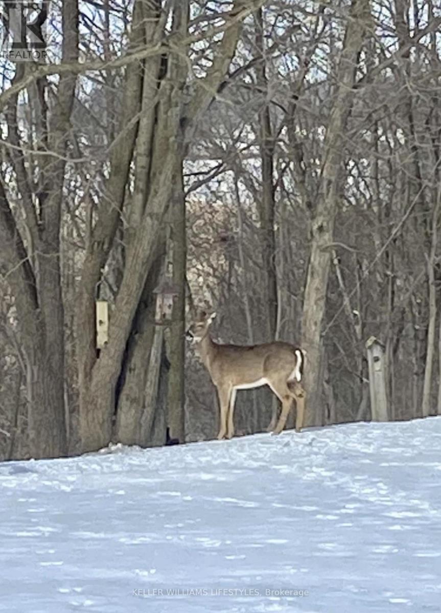 25728 Mcmurchy Line, West Elgin, Ontario  N0L 2P0 - Photo 40 - X12871610