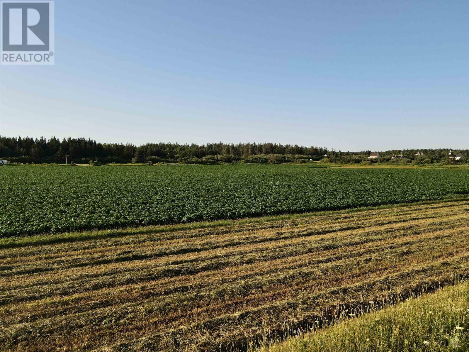 Lot 06-2 Route 14, Campbellton, Prince Edward Island  C0B 1E0 - Photo 20 - 202604348