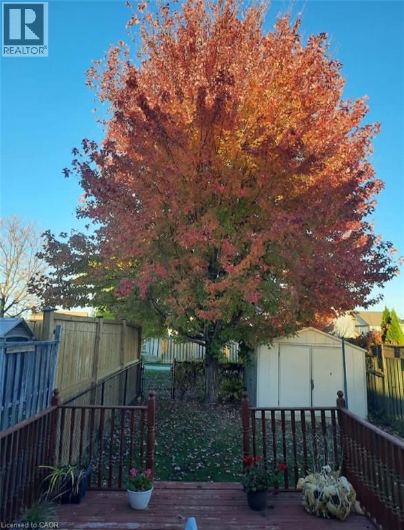 116 Commonwealth Street, Kitchener, Ontario  N2E 4K8 - Photo 43 - 40810580