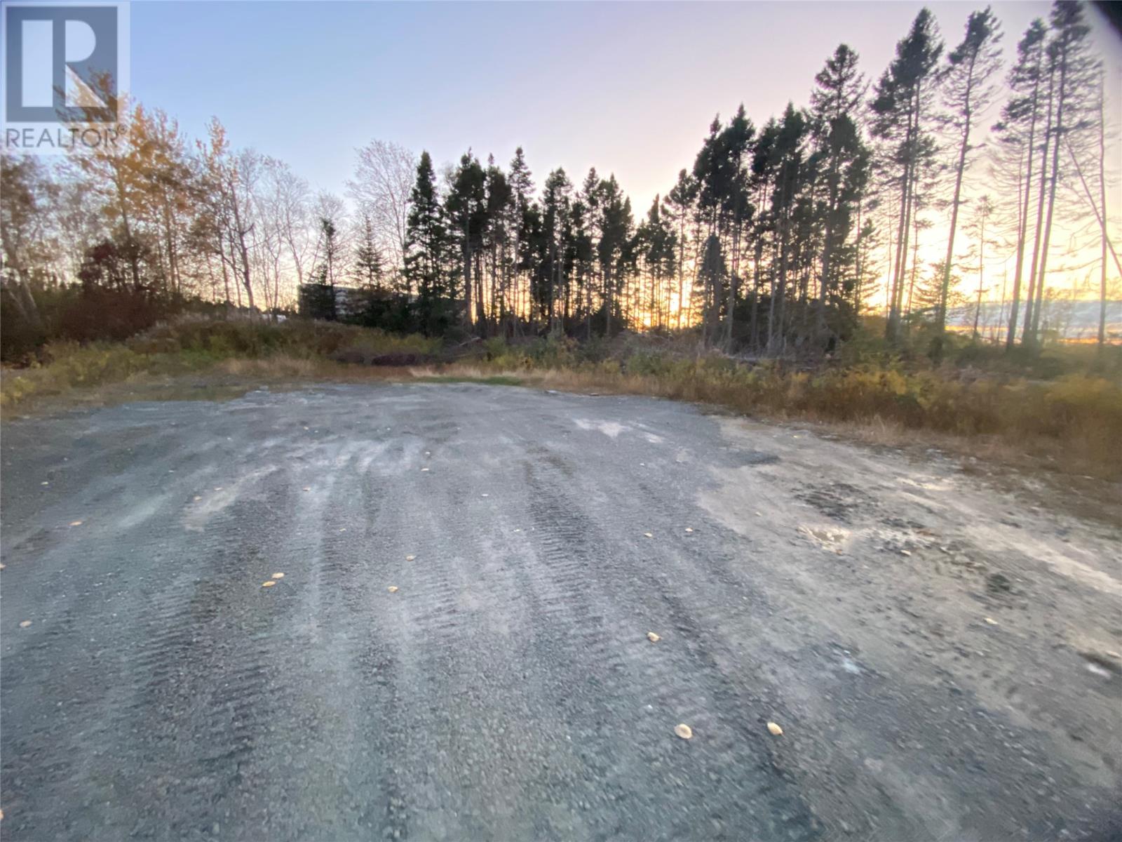 39 Mccurdy Drive, Gander, Newfoundland & Labrador    - Photo 4 - 1295157