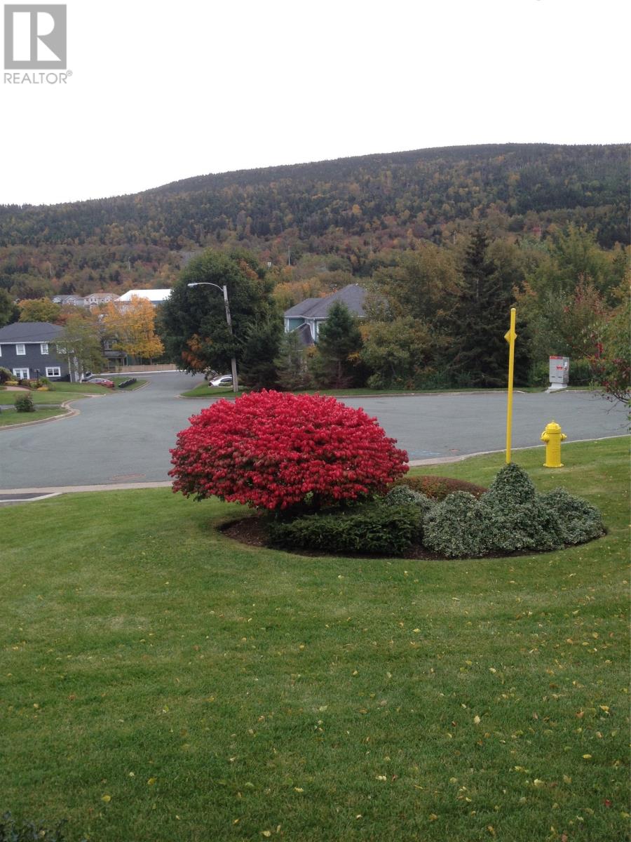 7 Chuckley Pear Place W, St John's, Newfoundland & Labrador  A1E 6C2 - Photo 47 - 1295090