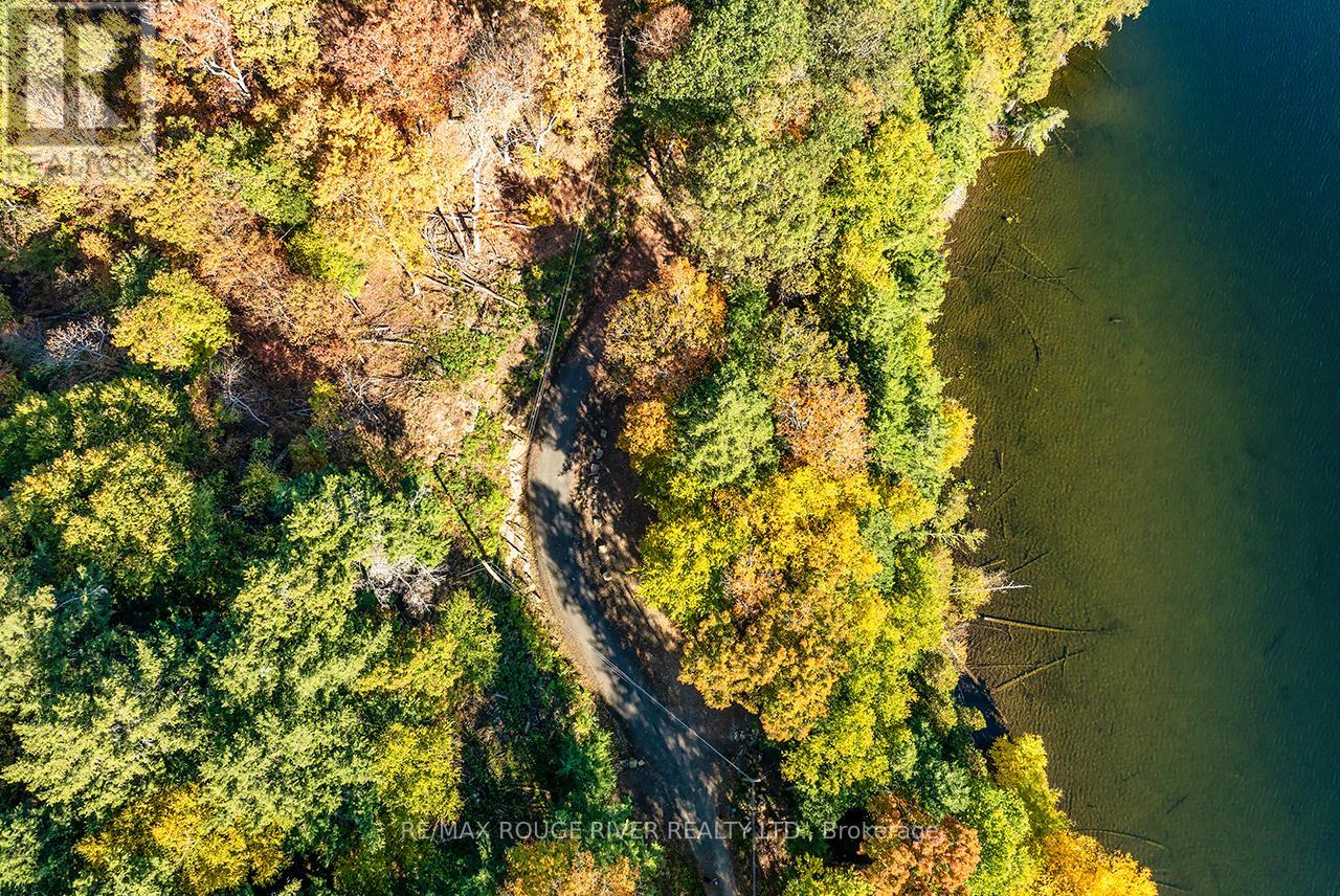 0 Thompson Portage Road, Lake Of Bays, Ontario  P0A 1H0 - Photo 30 - X12813326