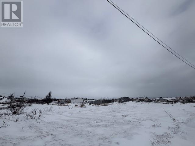 11 Oceanview Avenue, New Wes Valley, Newfoundland & Labrador  A0G 4R0 - Photo 12 - 1295160