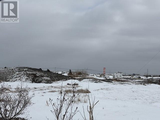 11 Oceanview Avenue, New Wes Valley, Newfoundland & Labrador  A0G 4R0 - Photo 14 - 1295160