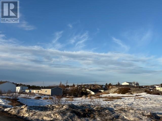 11 Oceanview Avenue, New Wes Valley, Newfoundland & Labrador  A0G 4R0 - Photo 2 - 1295160