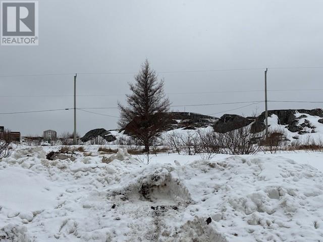 11 Oceanview Avenue, New Wes Valley, Newfoundland & Labrador  A0G 4R0 - Photo 5 - 1295160