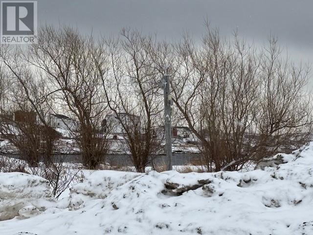 11 Oceanview Avenue, New Wes Valley, Newfoundland & Labrador  A0G 4R0 - Photo 6 - 1295160