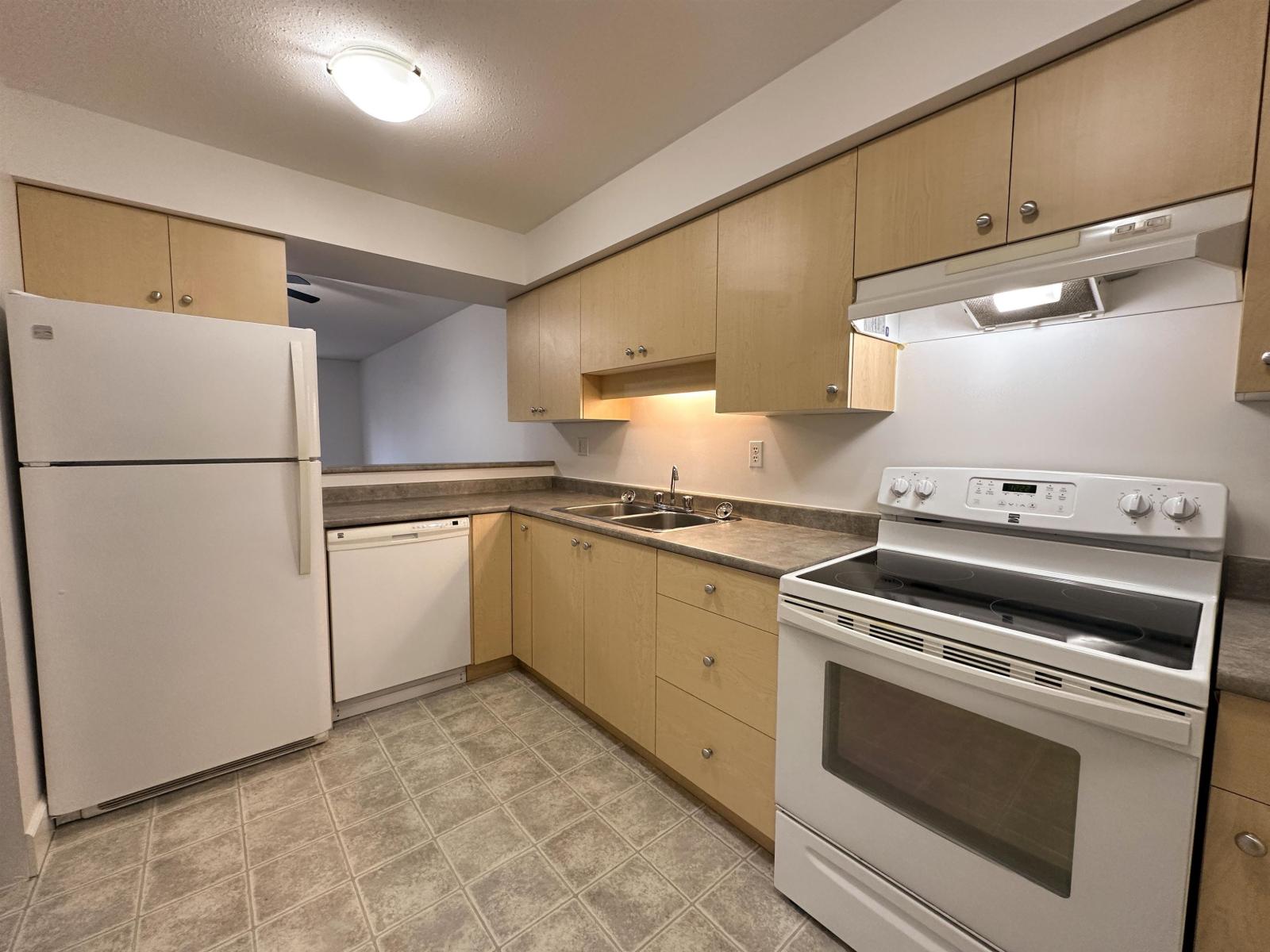 217 20454 53 Avenue, Langley, British Columbia  V3A 7S1 - Photo 10 - R3098587