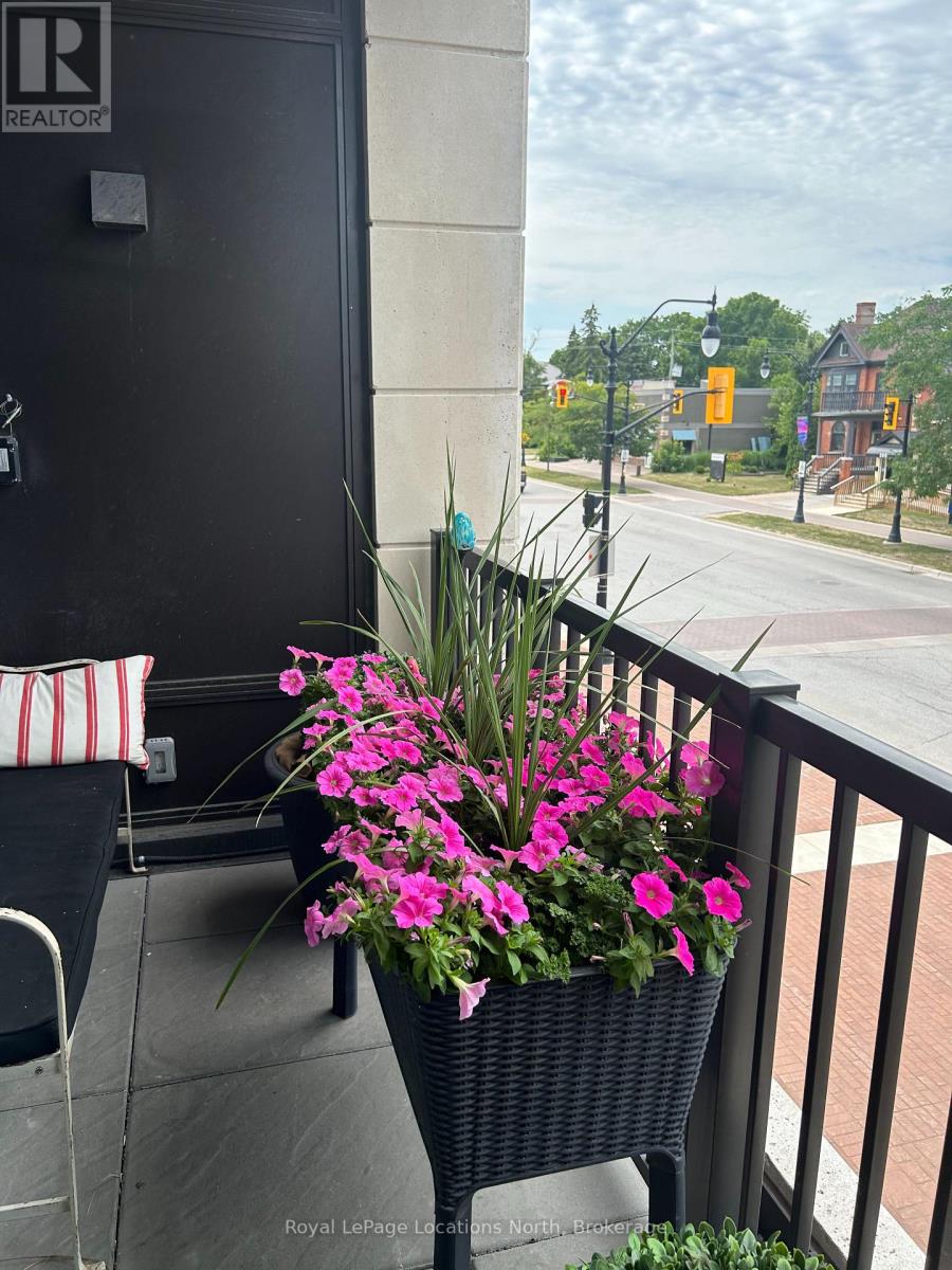 213 - 1 Hume Street, Collingwood, Ontario  L9Y 0X3 - Photo 6 - S12871866