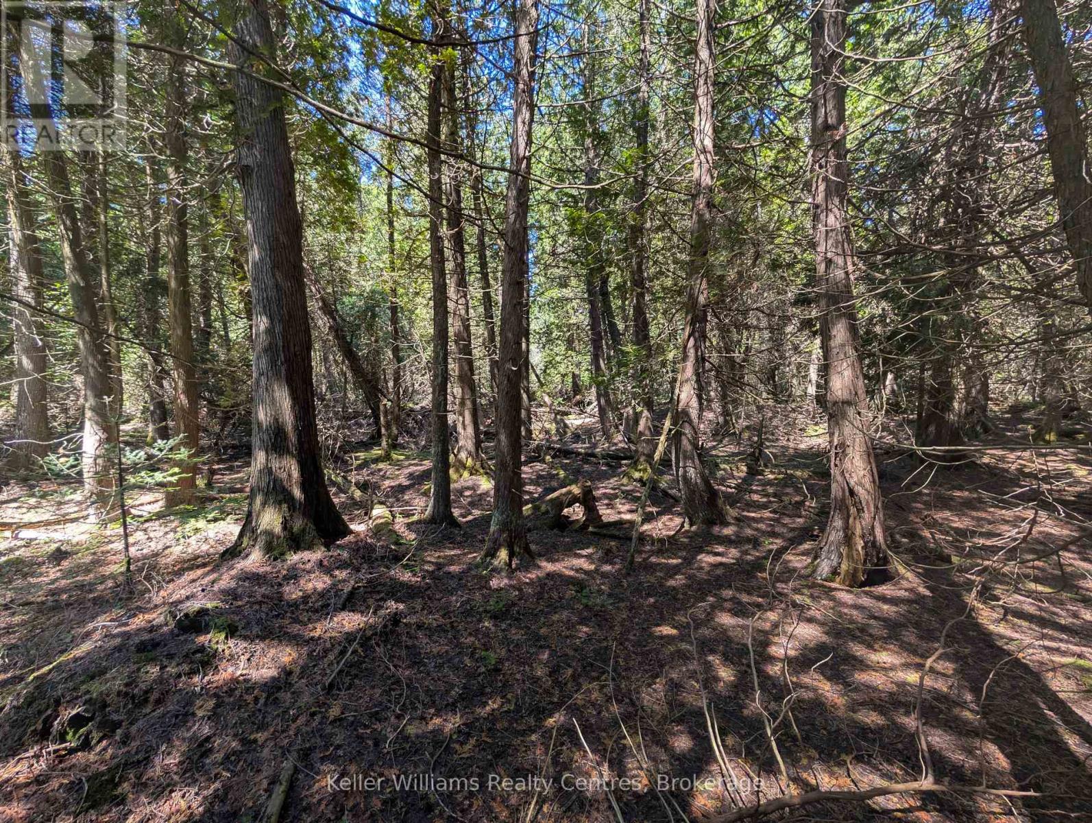 Pt Lt 56 Con 4 Cape Hurd Road, Northern Bruce Peninsula, Ontario  N0H 2R0 - Photo 10 - X12872090