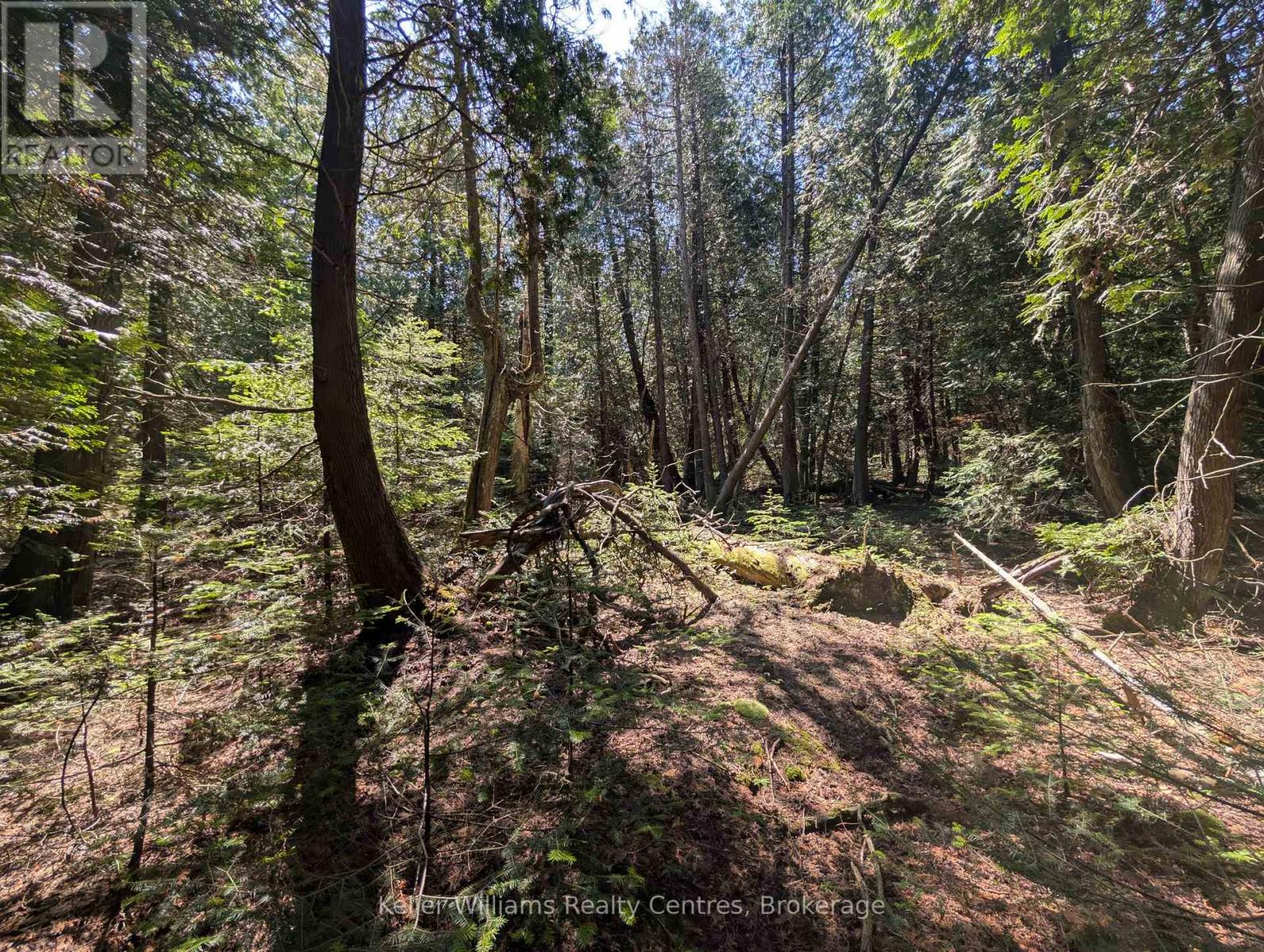 Pt Lt 56 Con 4 Cape Hurd Road, Northern Bruce Peninsula, Ontario  N0H 2R0 - Photo 11 - X12872090