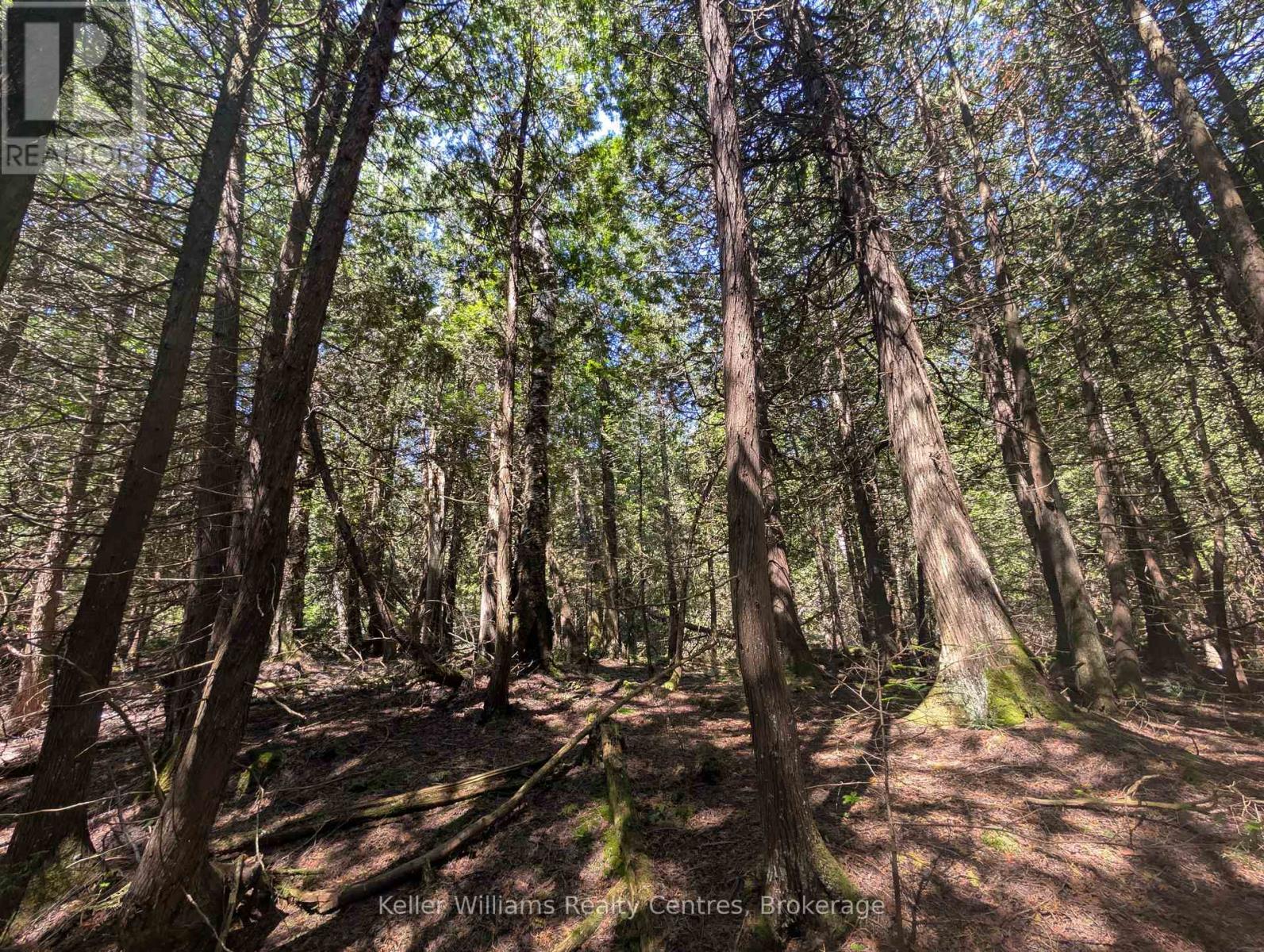 Pt Lt 56 Con 4 Cape Hurd Road, Northern Bruce Peninsula, Ontario  N0H 2R0 - Photo 12 - X12872090