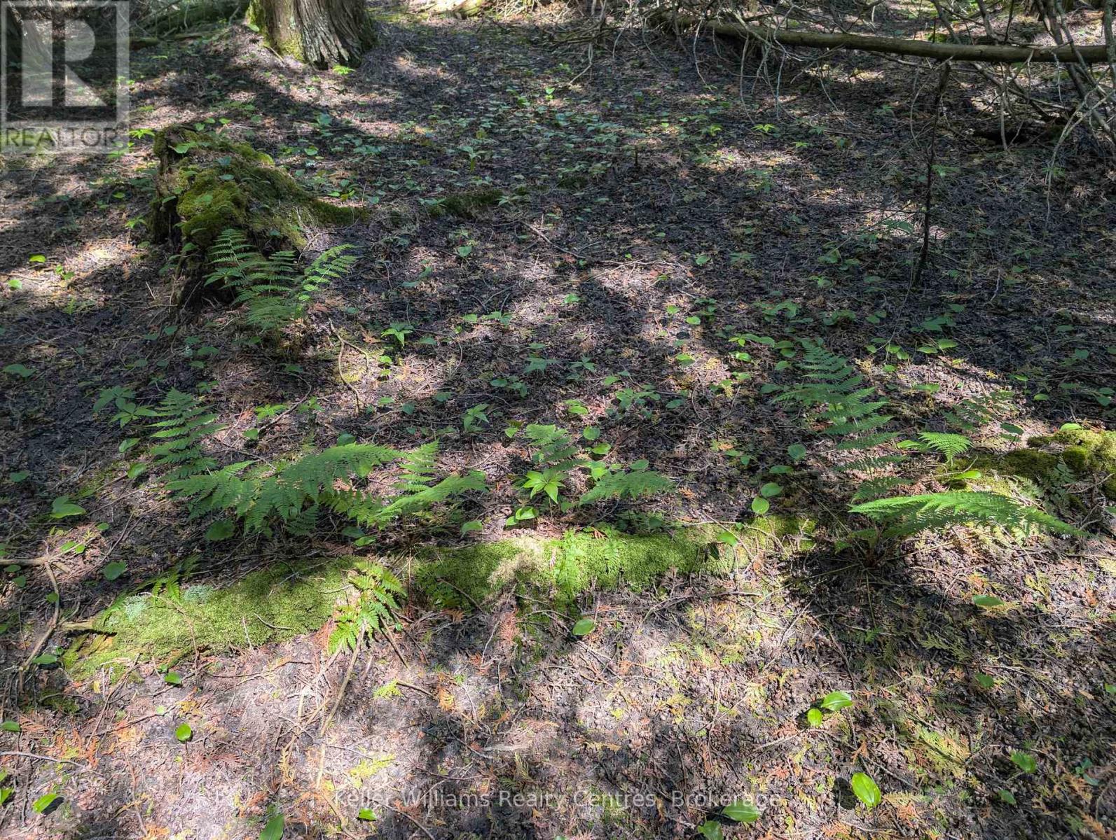 Pt Lt 56 Con 4 Cape Hurd Road, Northern Bruce Peninsula, Ontario  N0H 2R0 - Photo 15 - X12872090