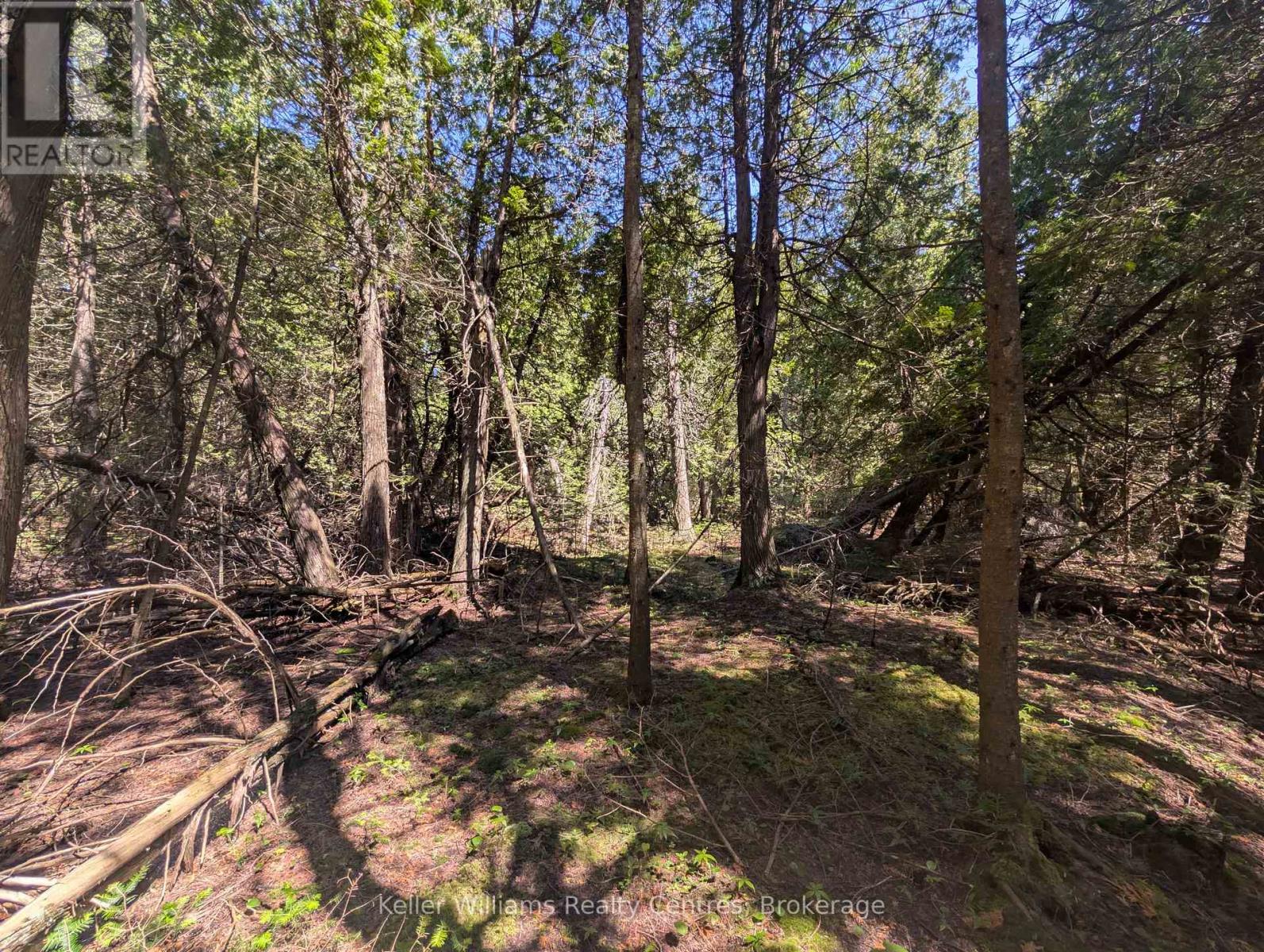 Pt Lt 56 Con 4 Cape Hurd Road, Northern Bruce Peninsula, Ontario  N0H 2R0 - Photo 16 - X12872090