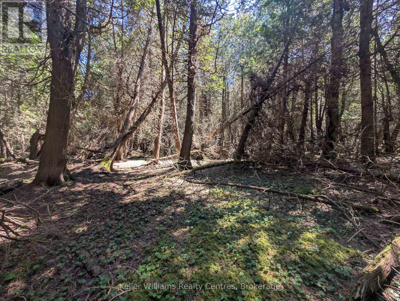 Pt Lt 56 Con 4 Cape Hurd Road, Northern Bruce Peninsula, Ontario  N0H 2R0 - Photo 19 - X12872090