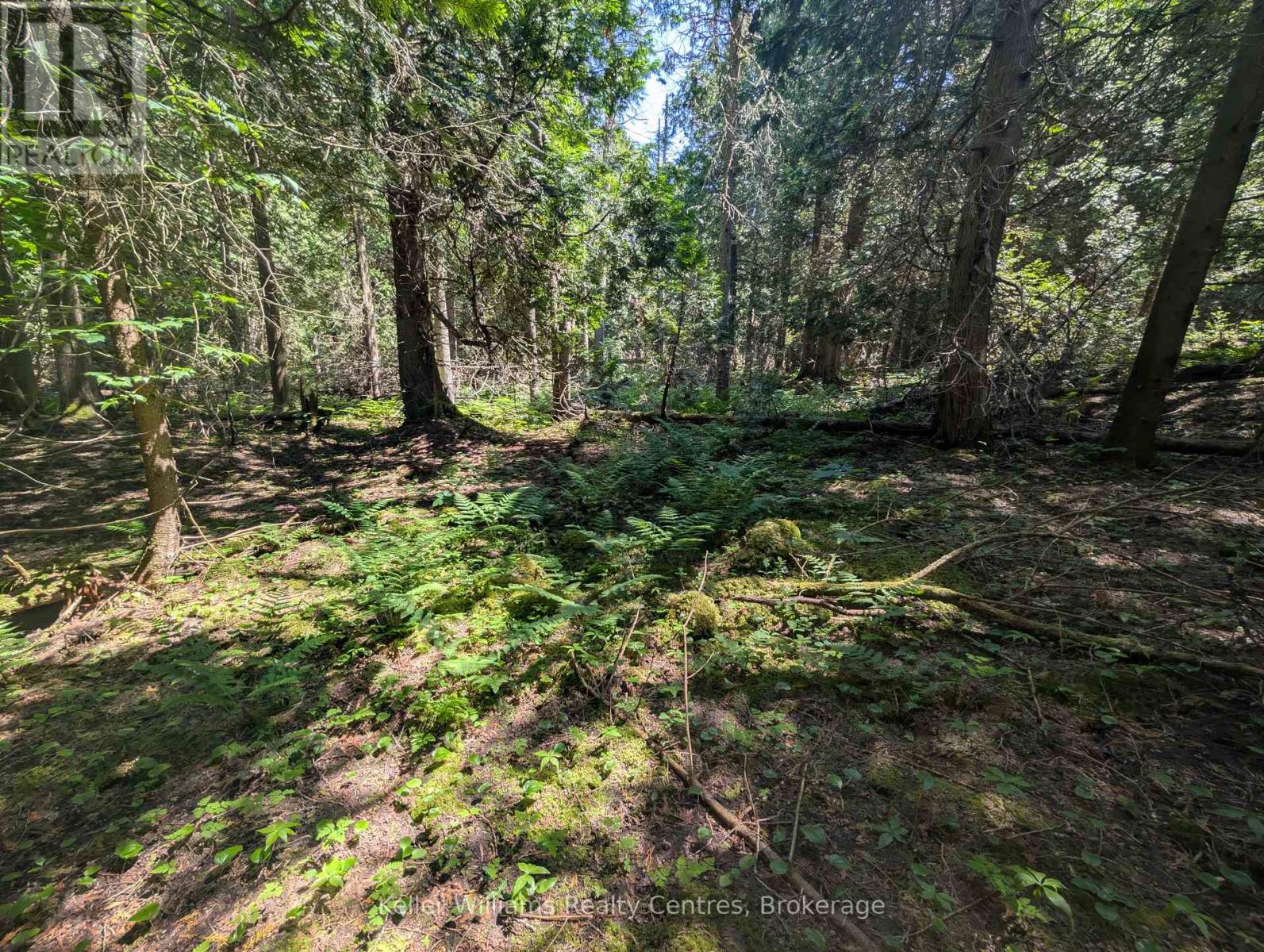 Pt Lt 56 Con 4 Cape Hurd Road, Northern Bruce Peninsula, Ontario  N0H 2R0 - Photo 23 - X12872090