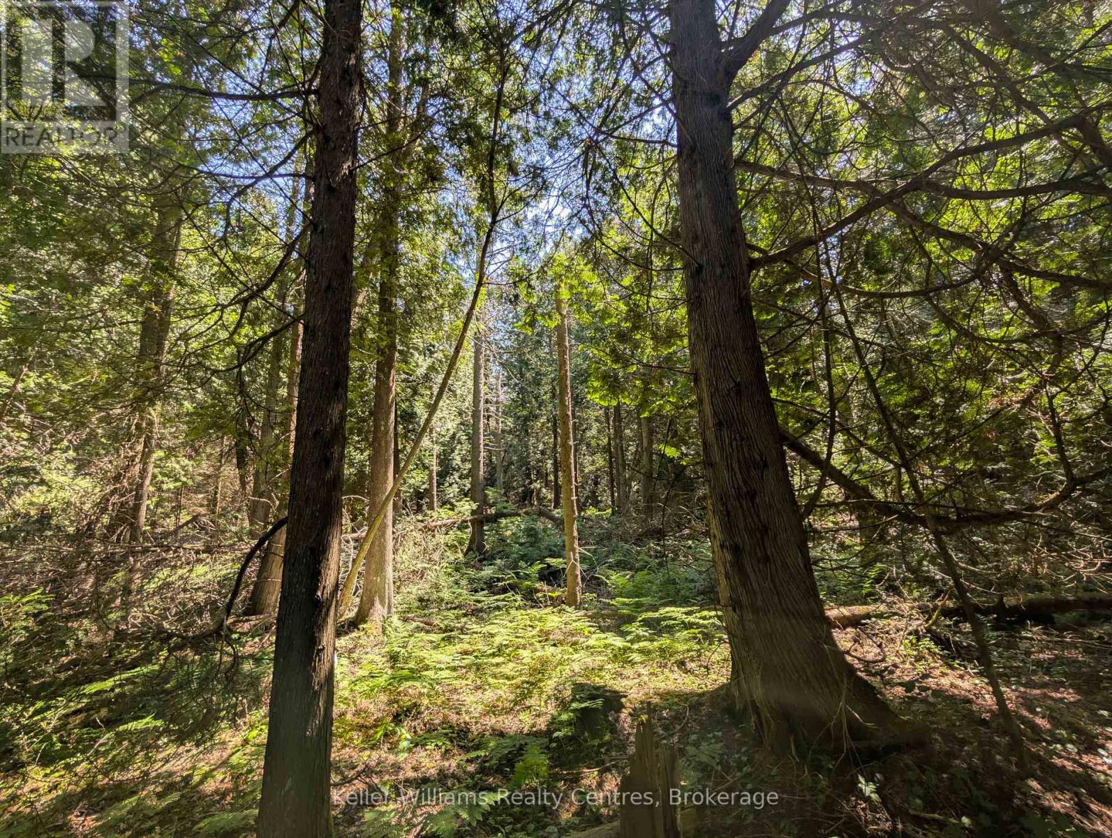 Pt Lt 56 Con 4 Cape Hurd Road, Northern Bruce Peninsula, Ontario  N0H 2R0 - Photo 24 - X12872090