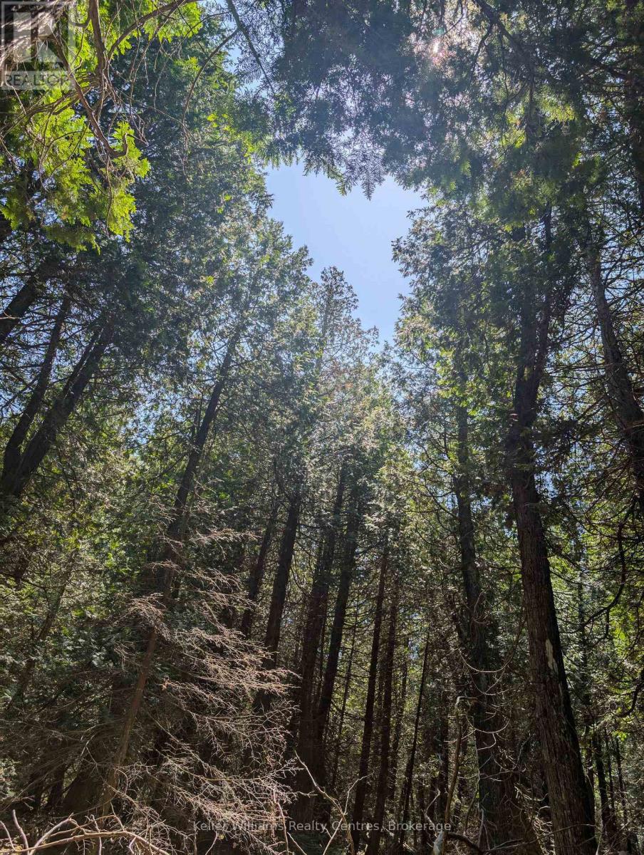 Pt Lt 56 Con 4 Cape Hurd Road, Northern Bruce Peninsula, Ontario  N0H 2R0 - Photo 25 - X12872090