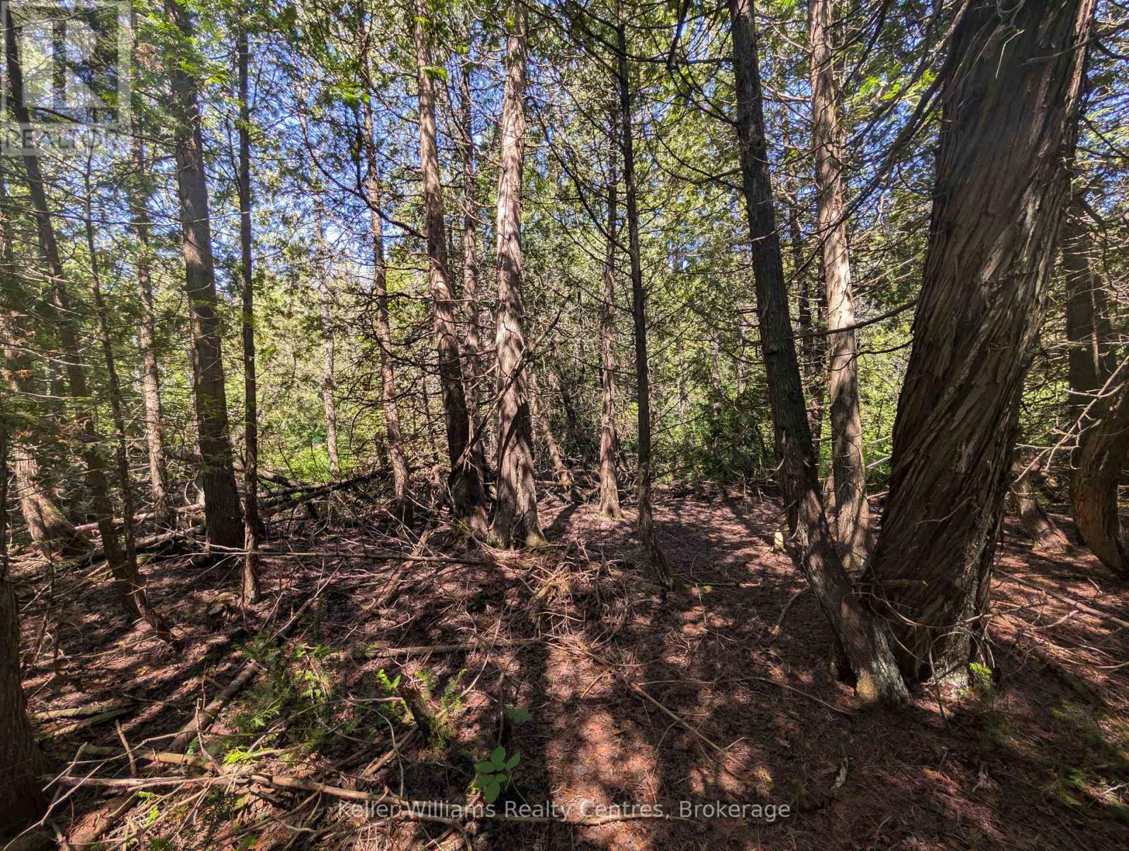 Pt Lt 56 Con 4 Cape Hurd Road, Northern Bruce Peninsula, Ontario  N0H 2R0 - Photo 26 - X12872090