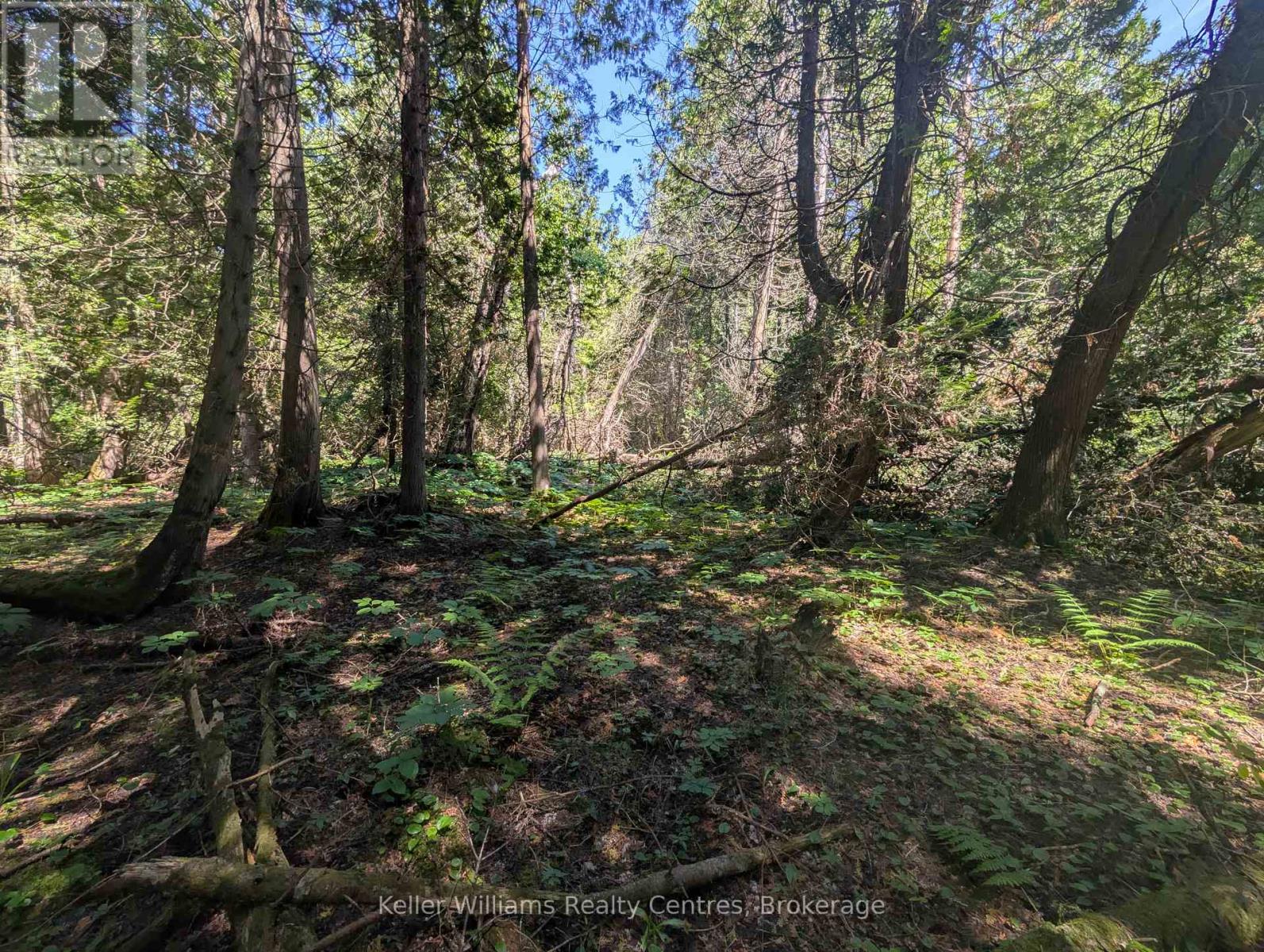 Pt Lt 56 Con 4 Cape Hurd Road, Northern Bruce Peninsula, Ontario  N0H 2R0 - Photo 29 - X12872090