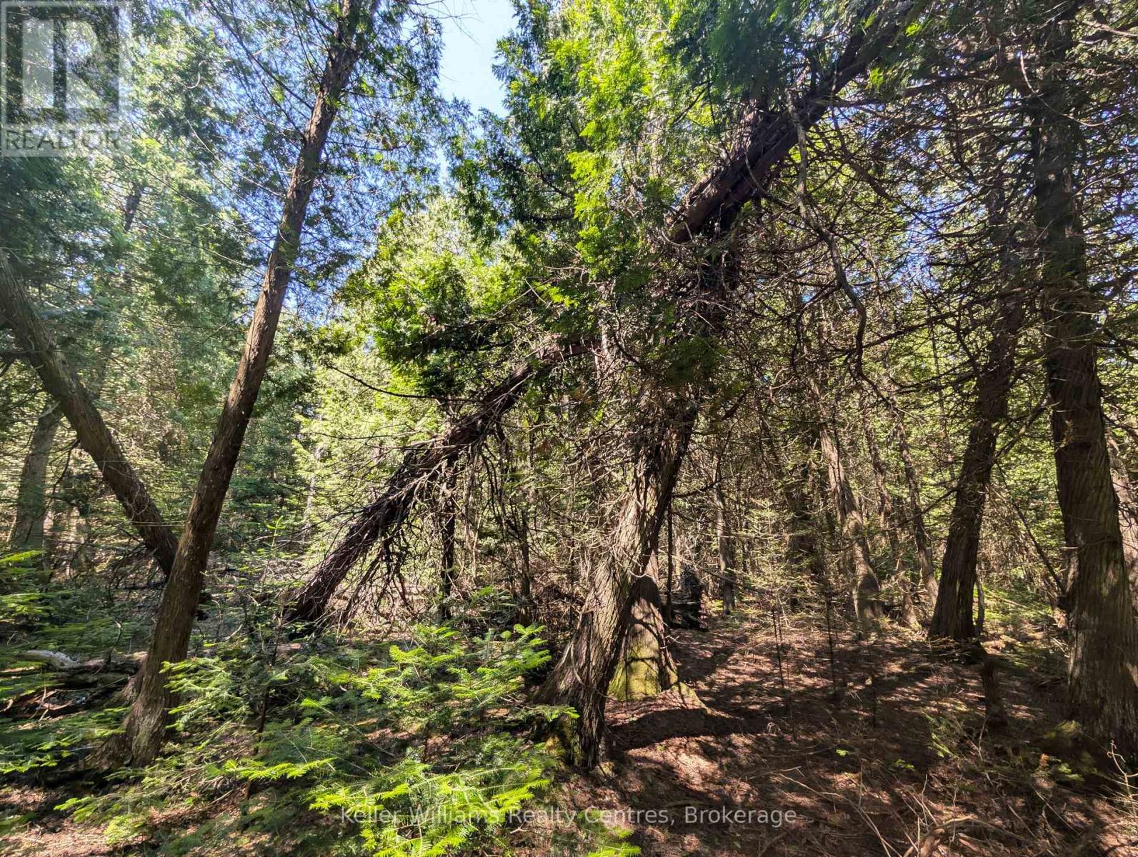 Pt Lt 56 Con 4 Cape Hurd Road, Northern Bruce Peninsula, Ontario  N0H 2R0 - Photo 8 - X12872090