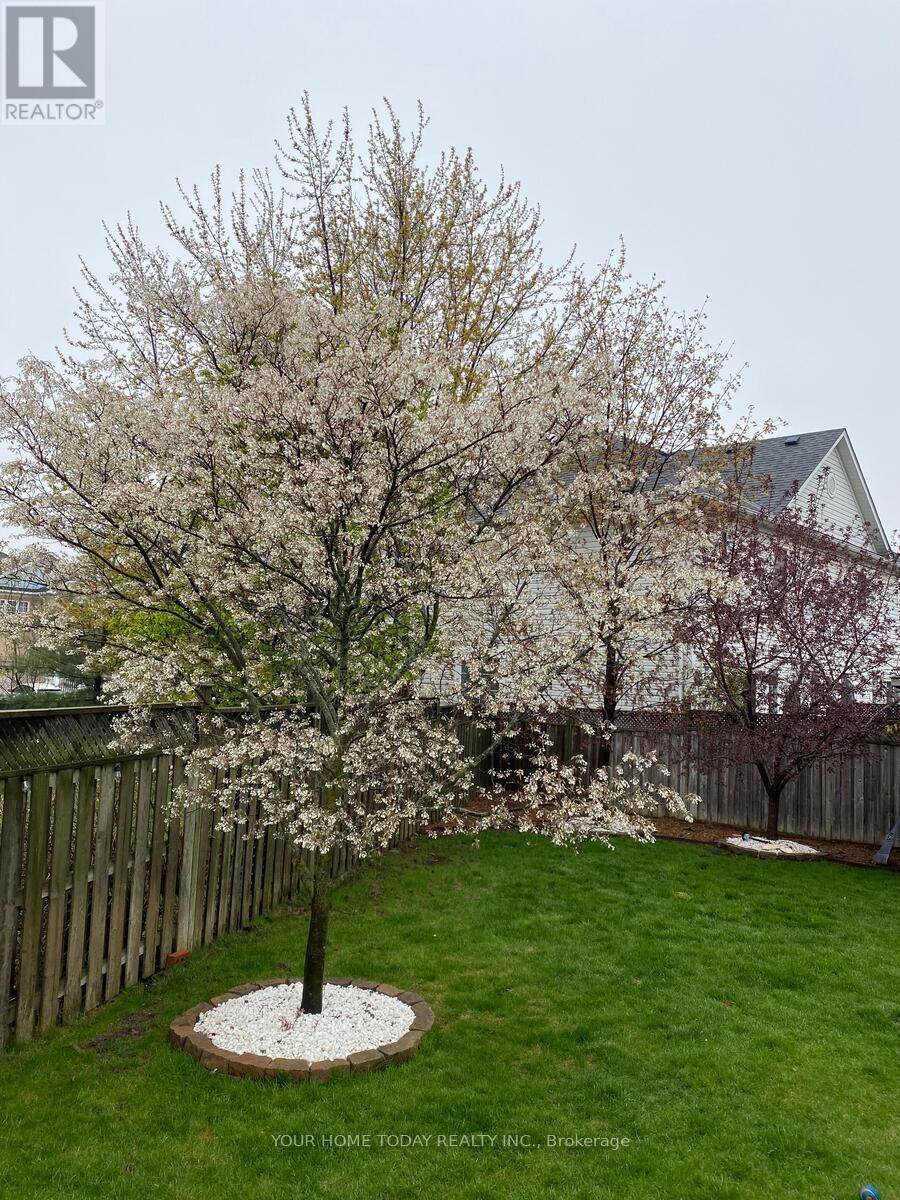 177 Van Scott Drive, Brampton, Ontario  L7A 1S9 - Photo 38 - W12871910